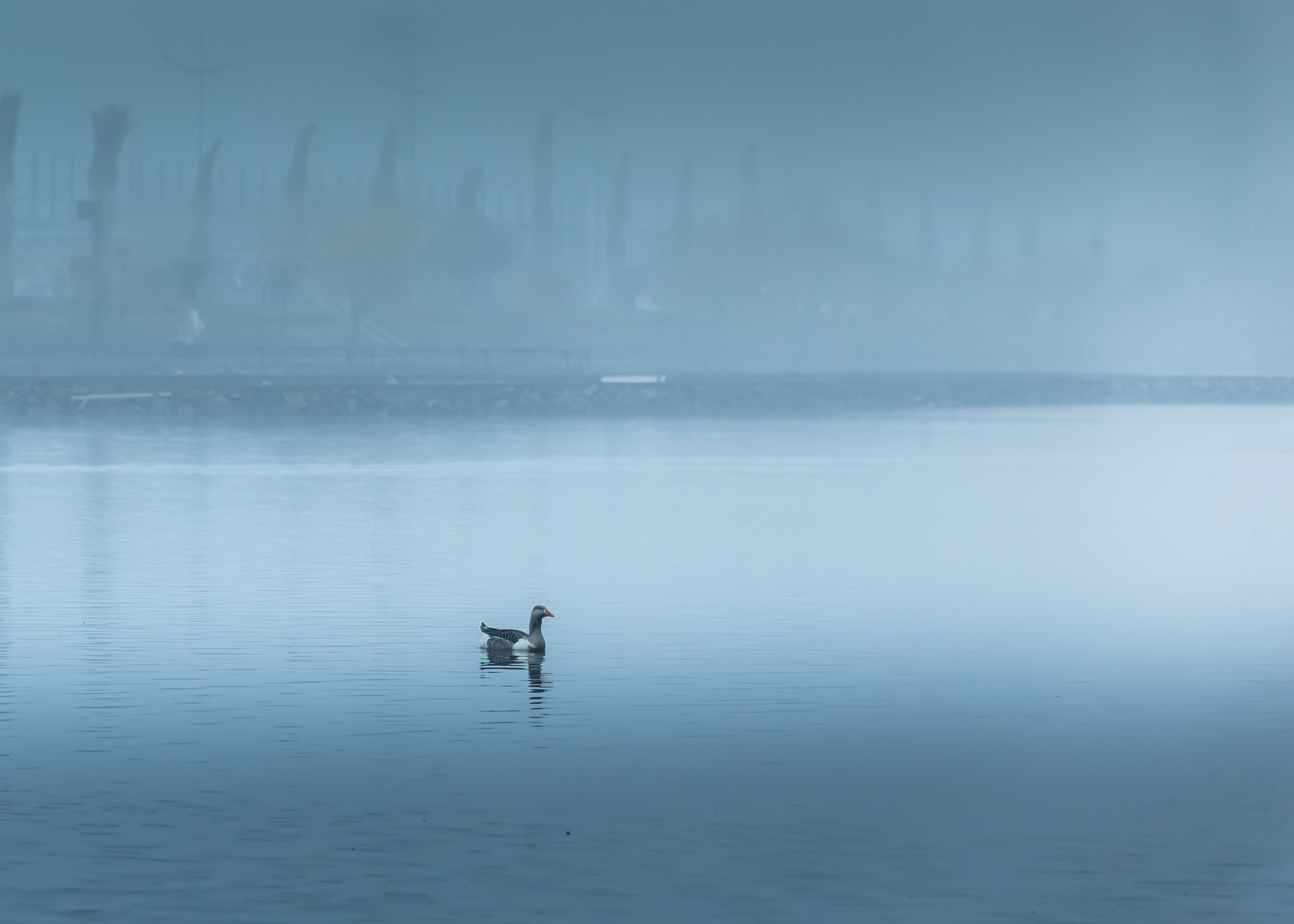 Urban. PHOTOSTORYNIKA