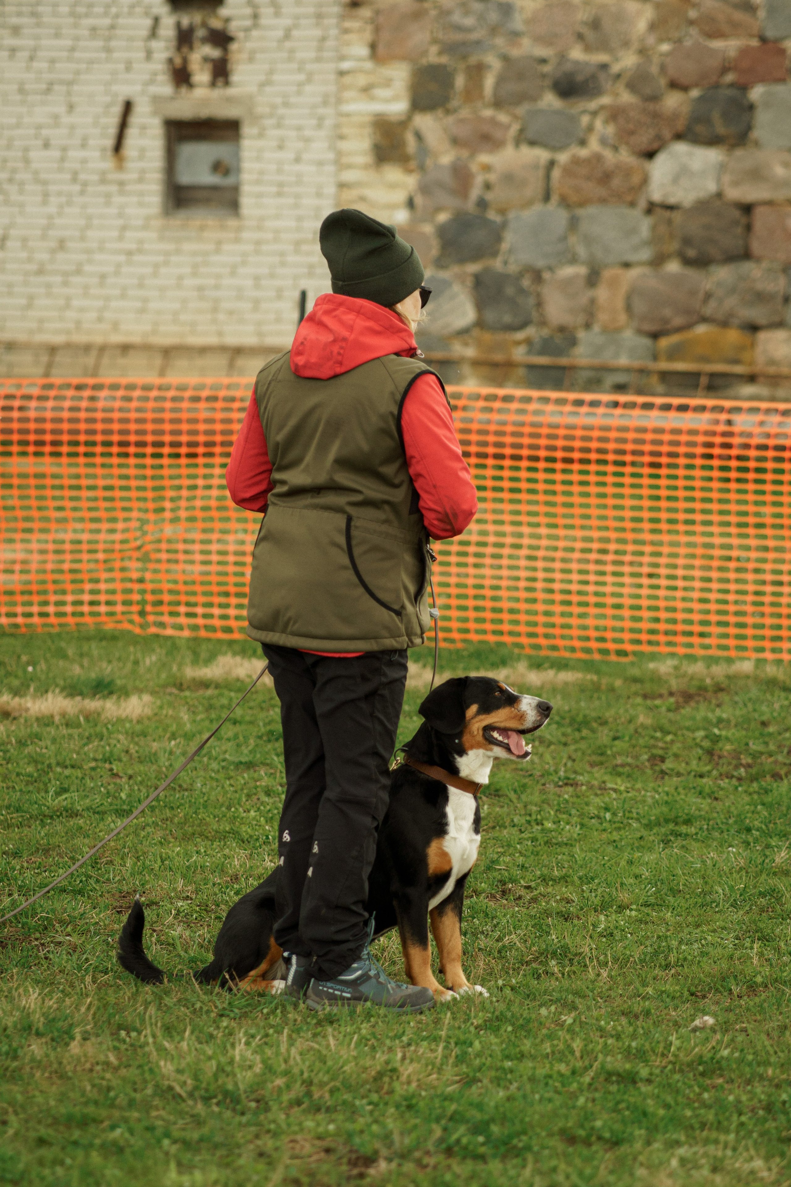Herding Days, 26 apr. 2025. Kat Laisaar — Pet photographer in Tallinn