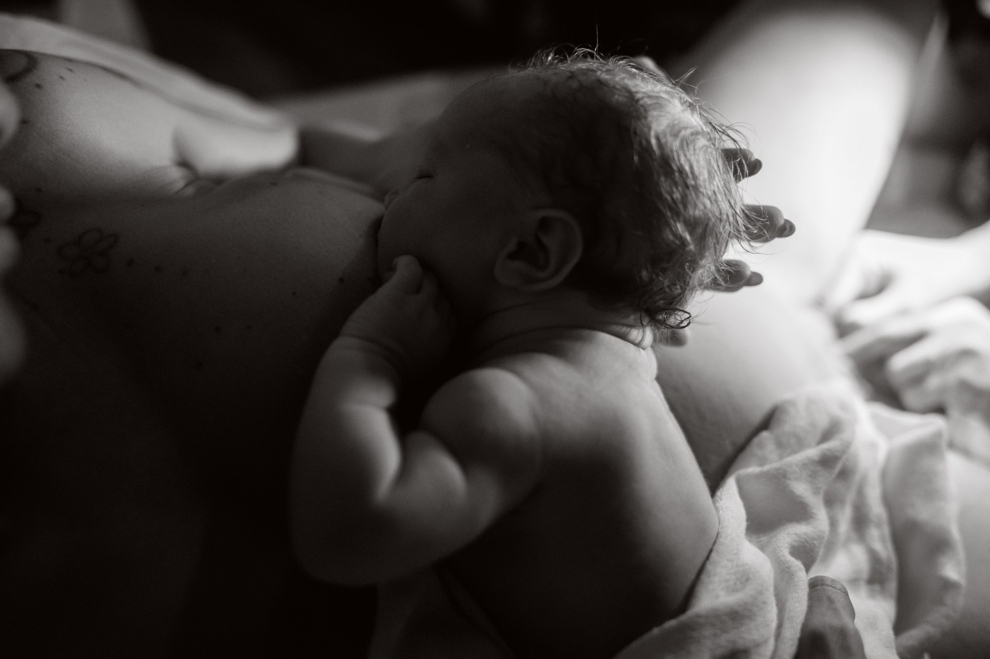 Nascer Beatriz. Água Carmim Fotografia