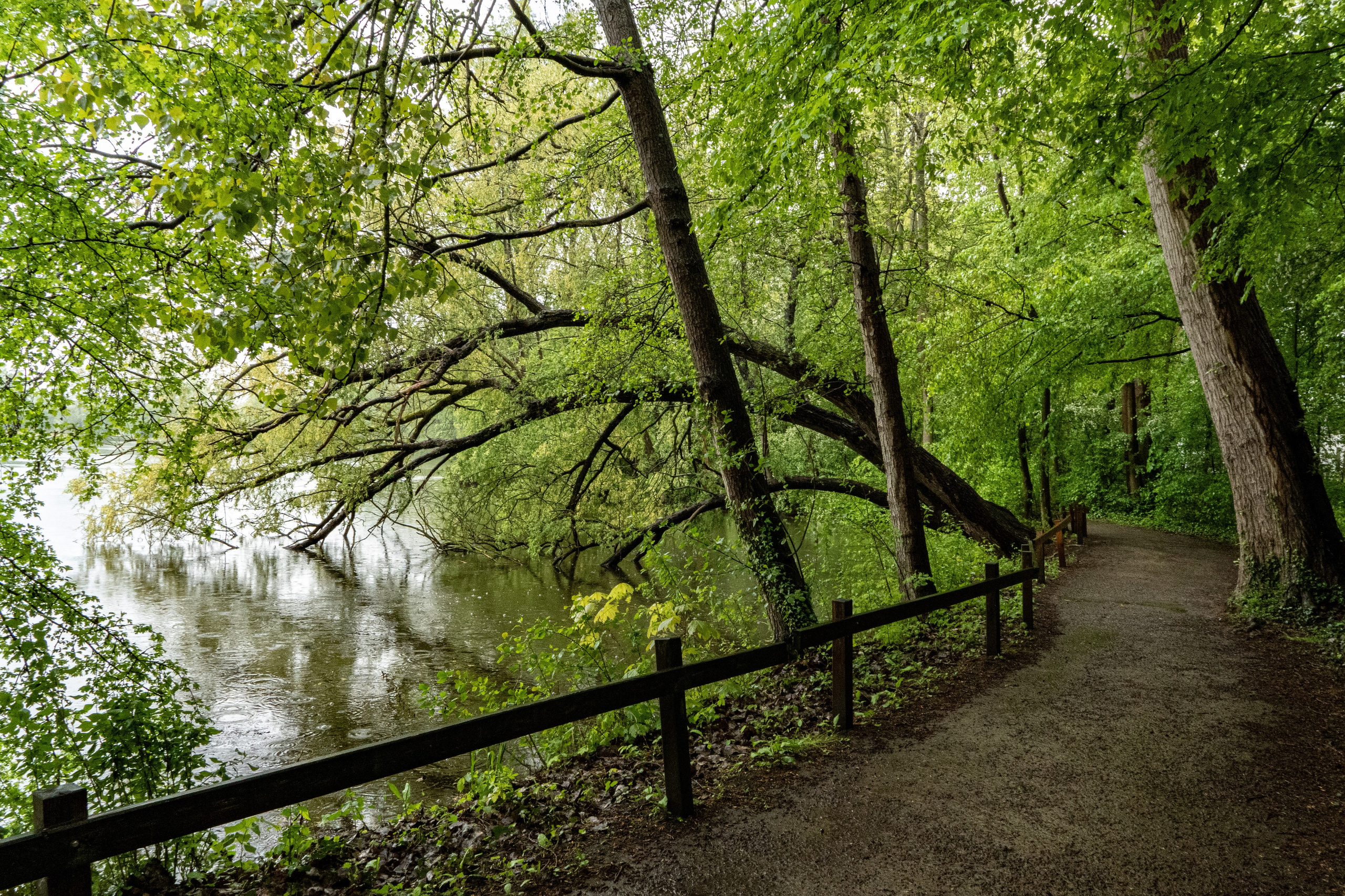 Landschaftsfotografie. Bürgerreporter & Amateurfotograf in Hannover