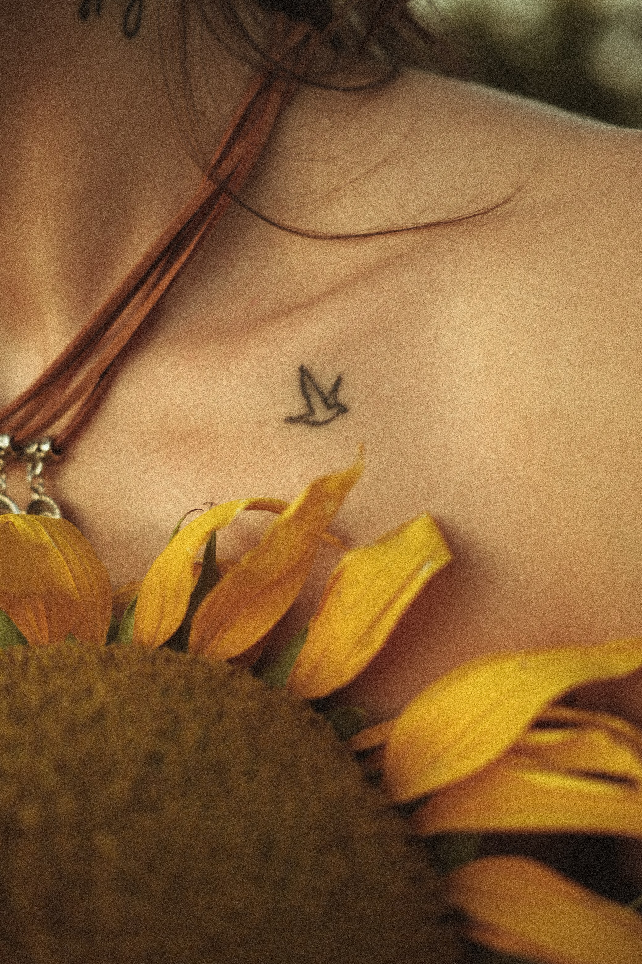 In sunflowers | Meri. Главная