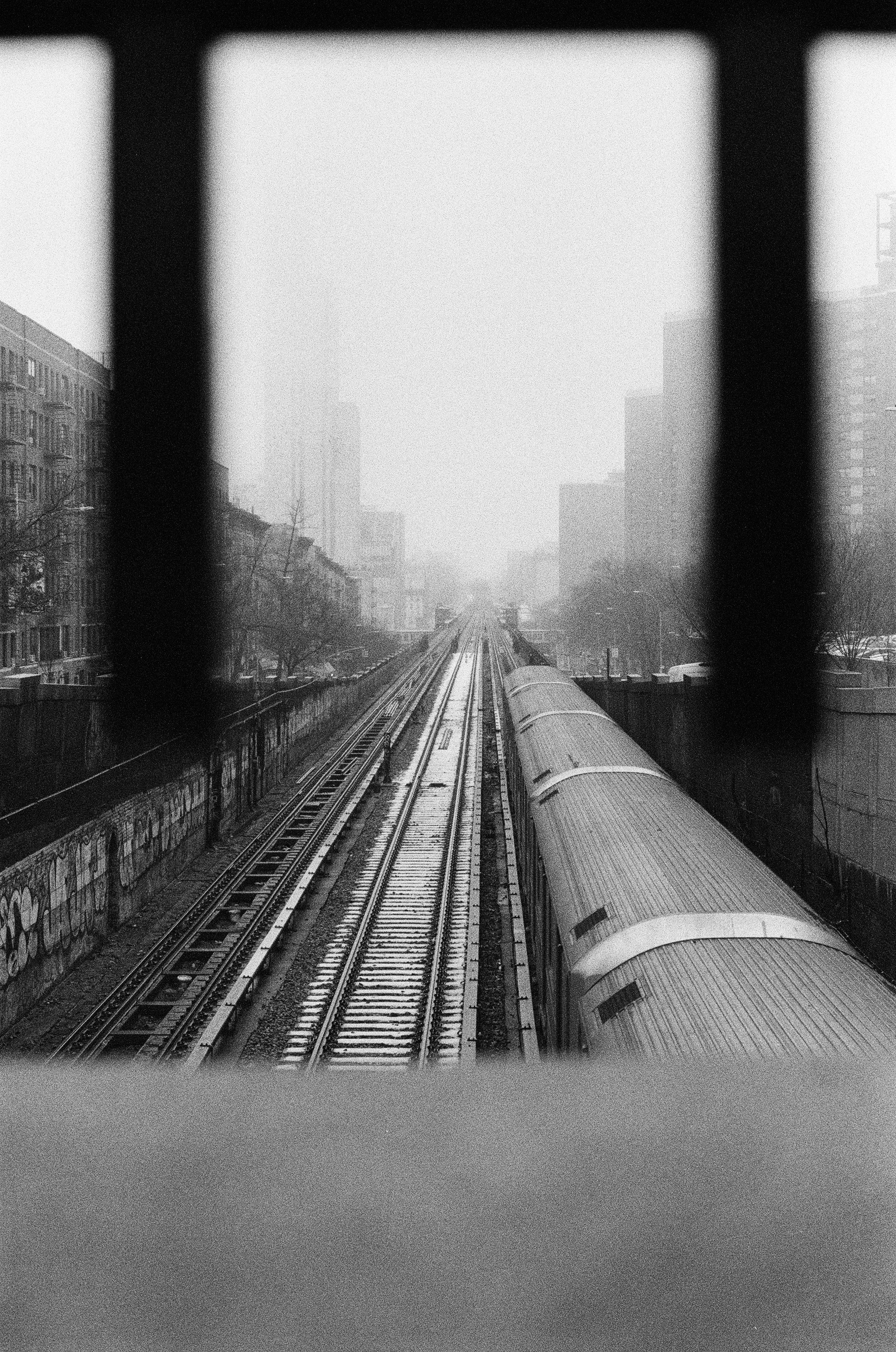 Film. NYC photographer | portraits, couples, graduation