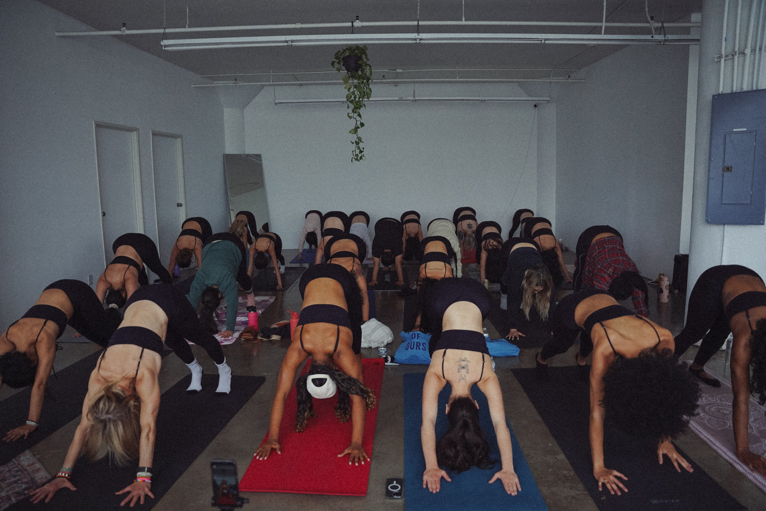 Event Photographer. Event photography. Event in Los Angeles. Santa Monica event photographer. Fitness event photography