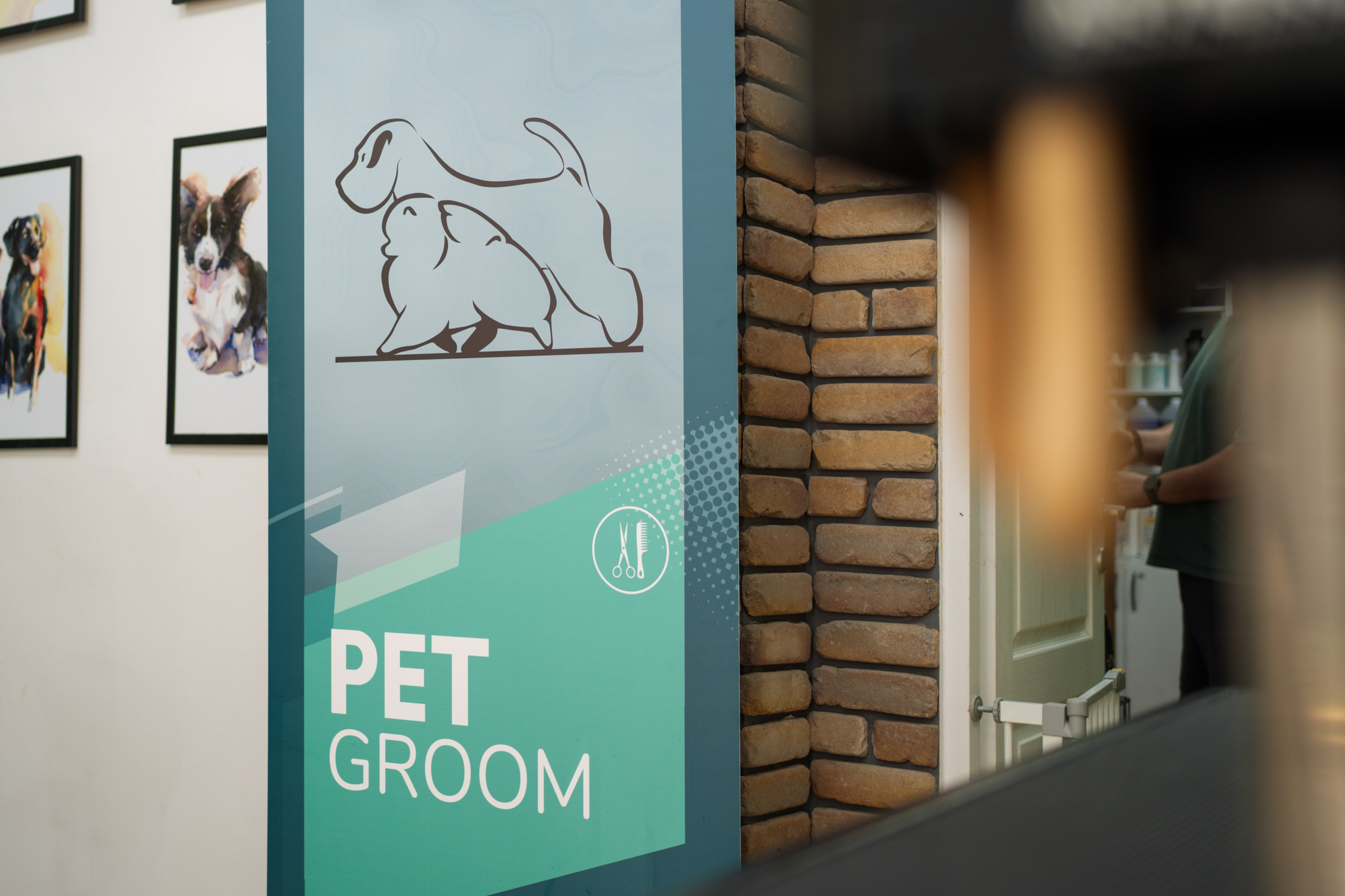 PetGroom Timisoara. Cozac Cristian Photographer