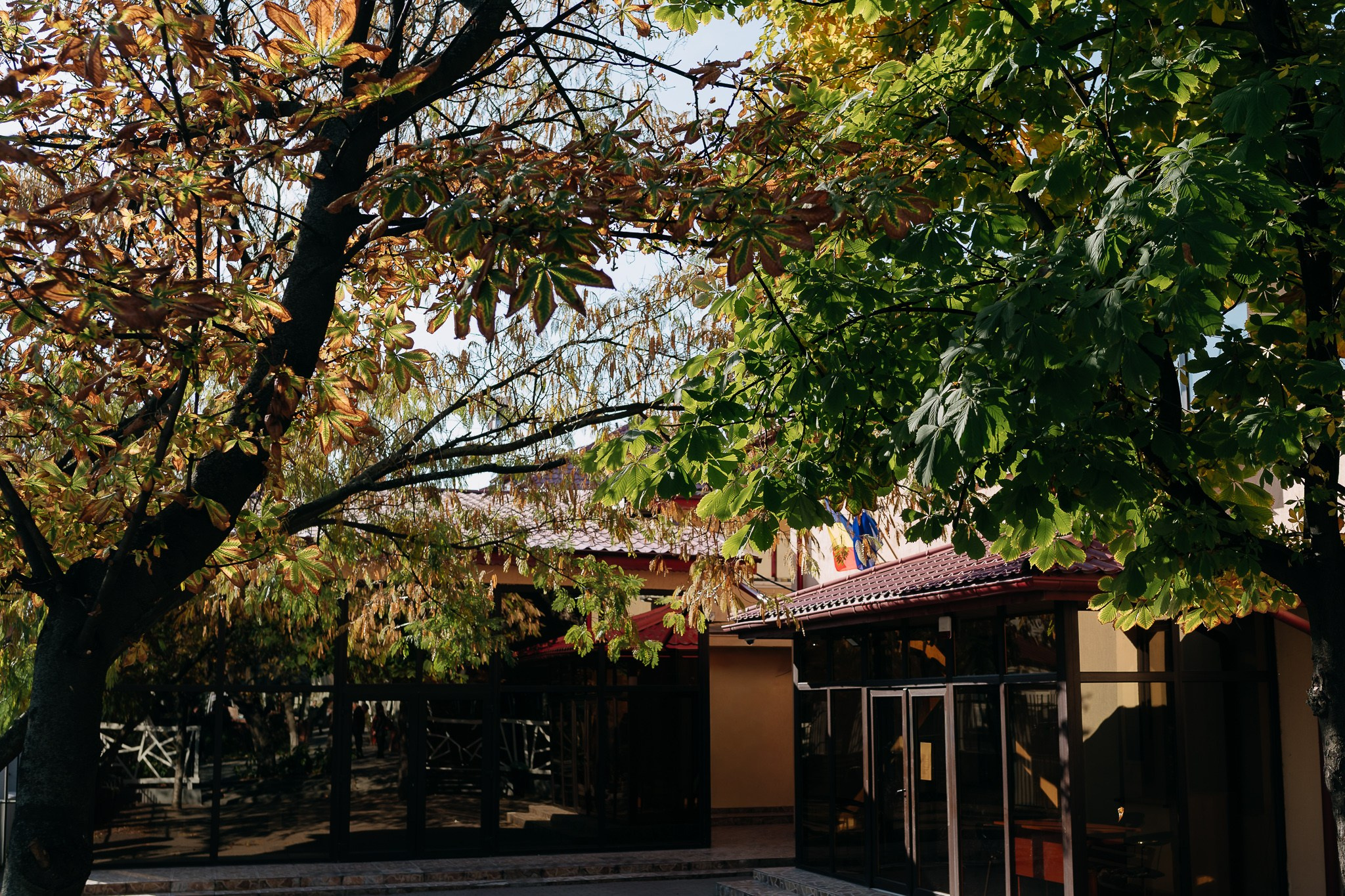 Fotograf de nuntă în Bucuresti| Mihai Popa Fotograf. Fotograf Nuntă & Botez București - Mihai Popa | Dincolo de oameni, imortalizez emoții!