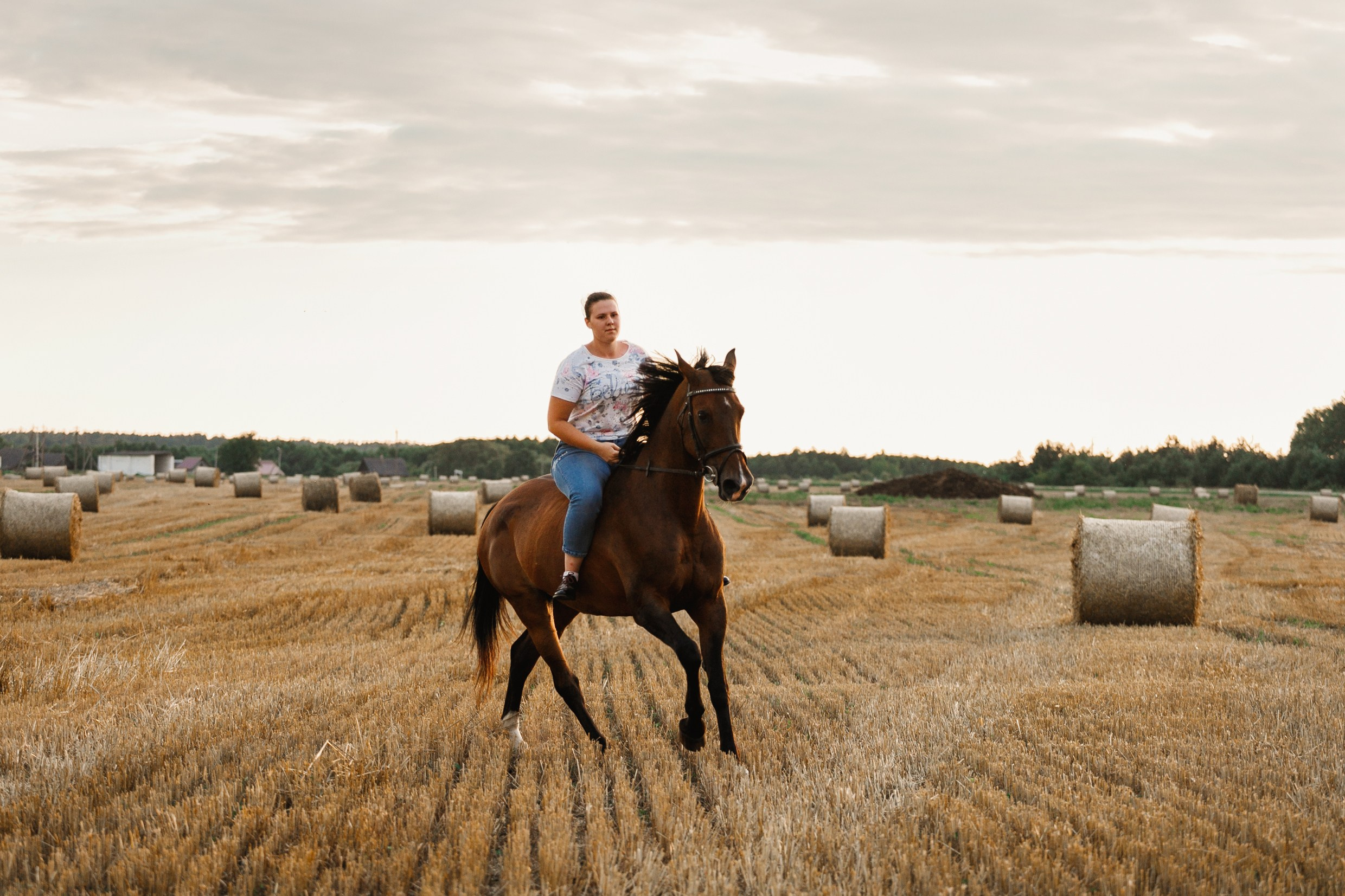 One sunset. Kaja | fotograf psów we Wrocławiu
