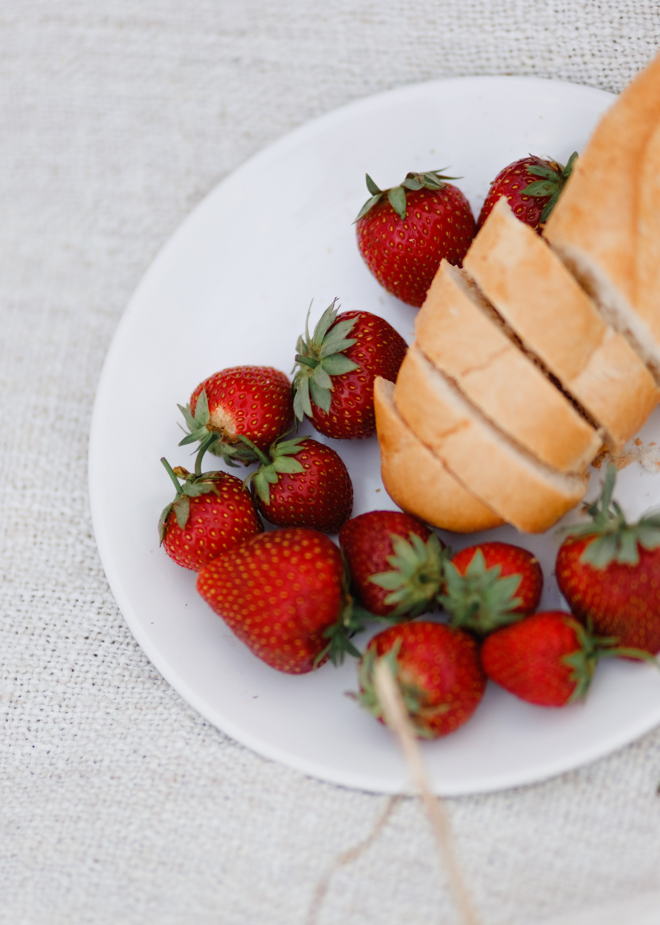 Katya | tenderness in the field. Kaja | fotograf psów we Wrocławiu