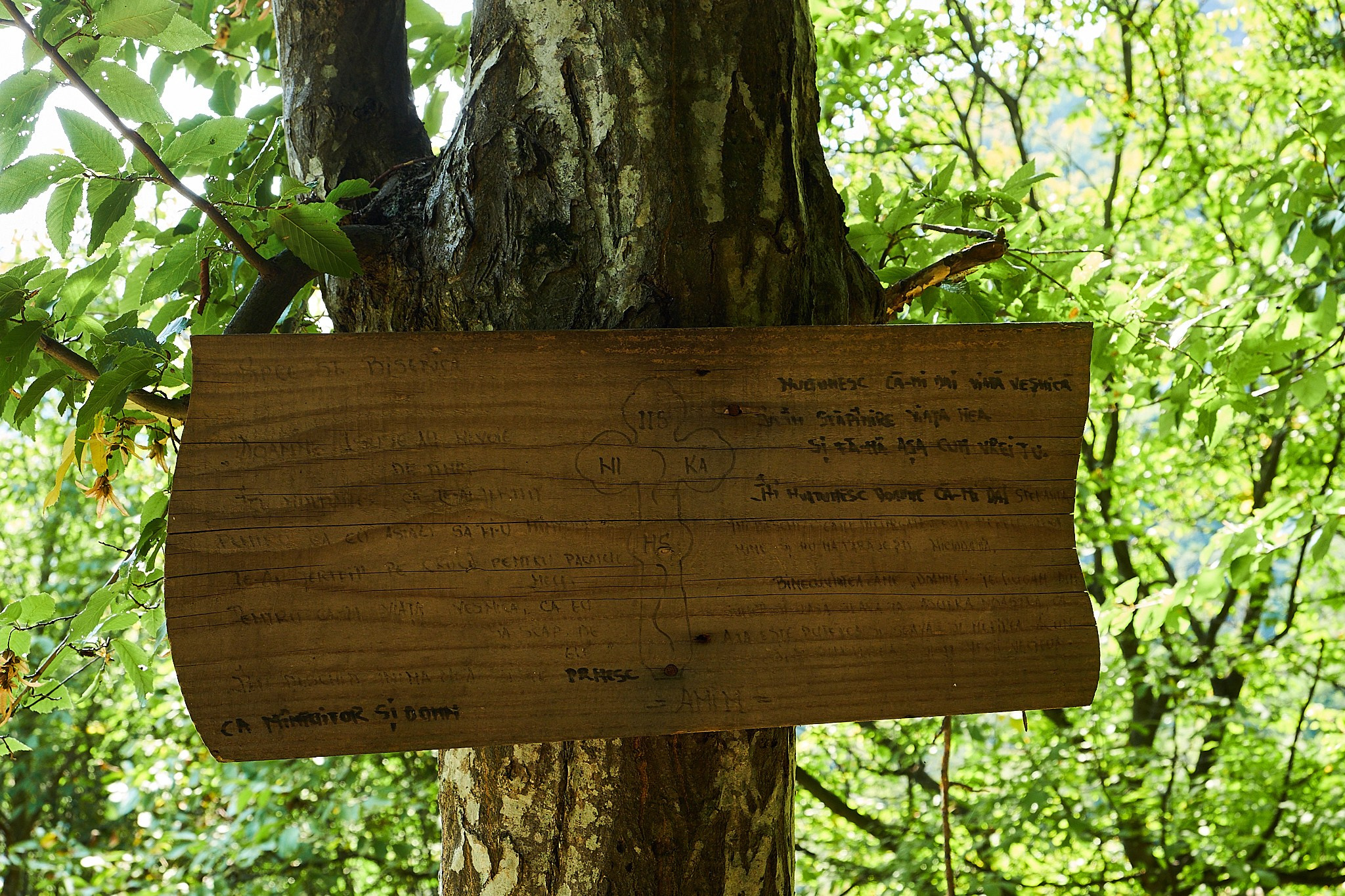 Ineleț, jud. Caraș-Severin. Pagina principală