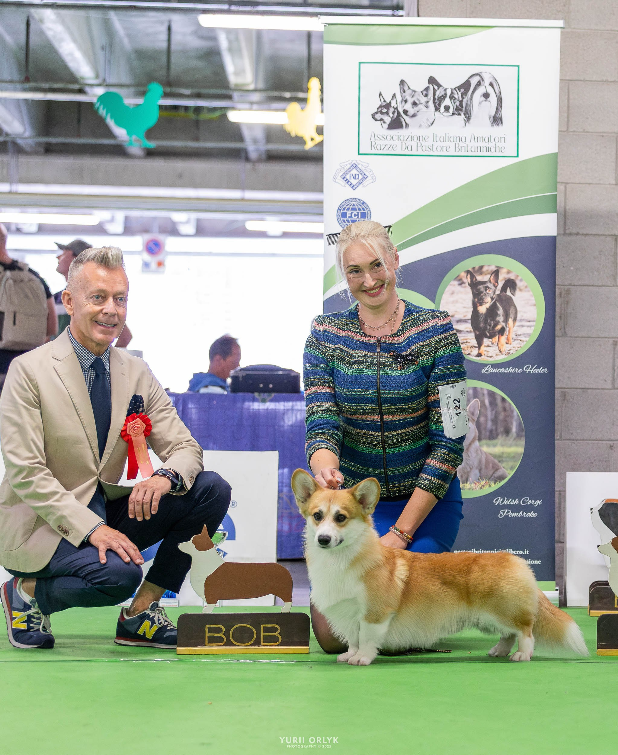 Dog Shows. Yurii Orlyk Photography