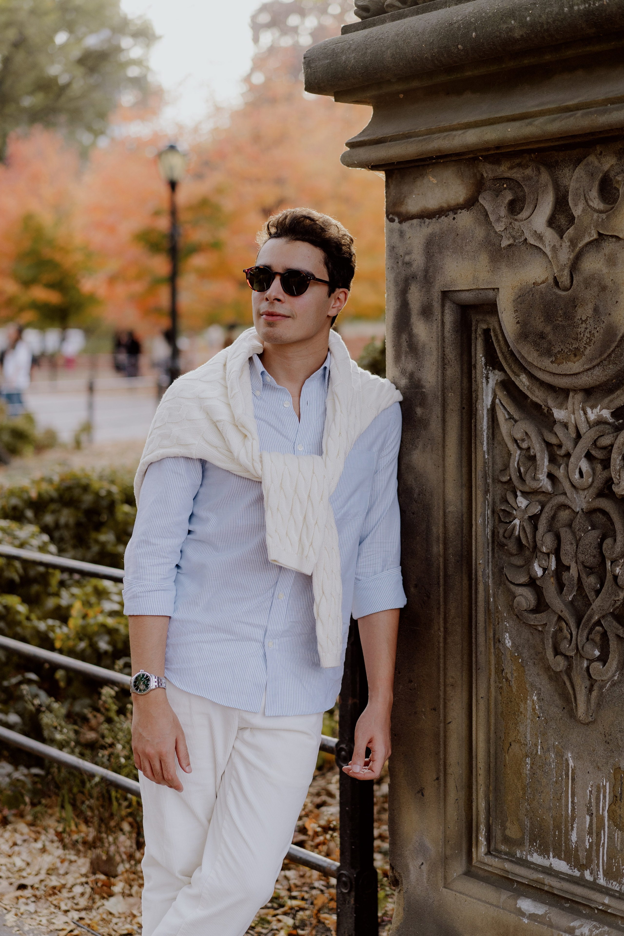 Proposal in Central Park. Videographer and photographer in New York // MAKAROV.VIDEO