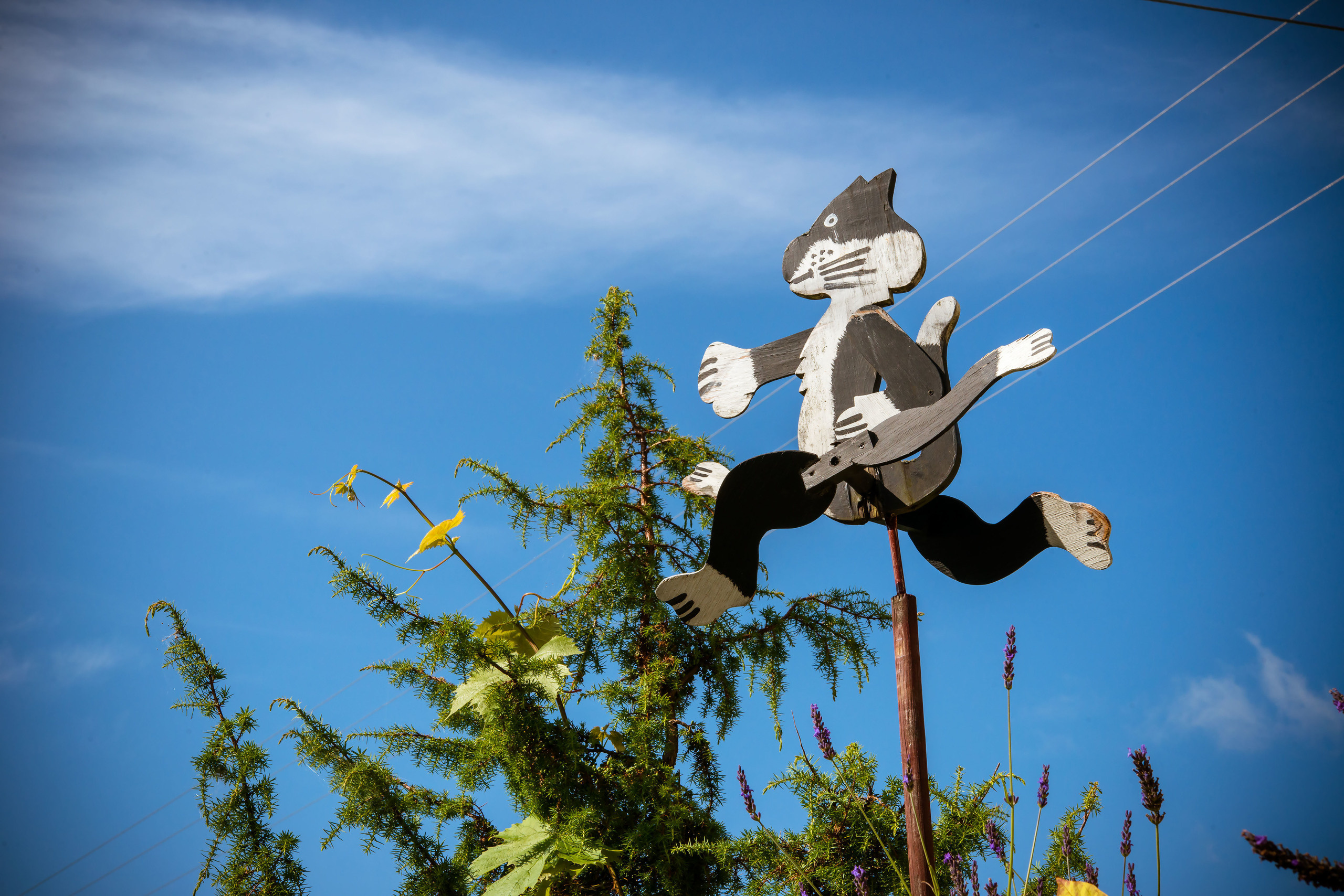 Fotogrāfs Romualds Rubenis un Artemijs Stašāns