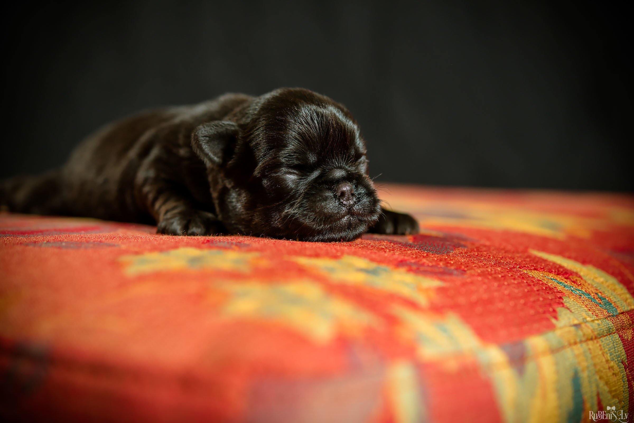 Fotogrāfs Romualds Rubenis un Artemijs Stašāns