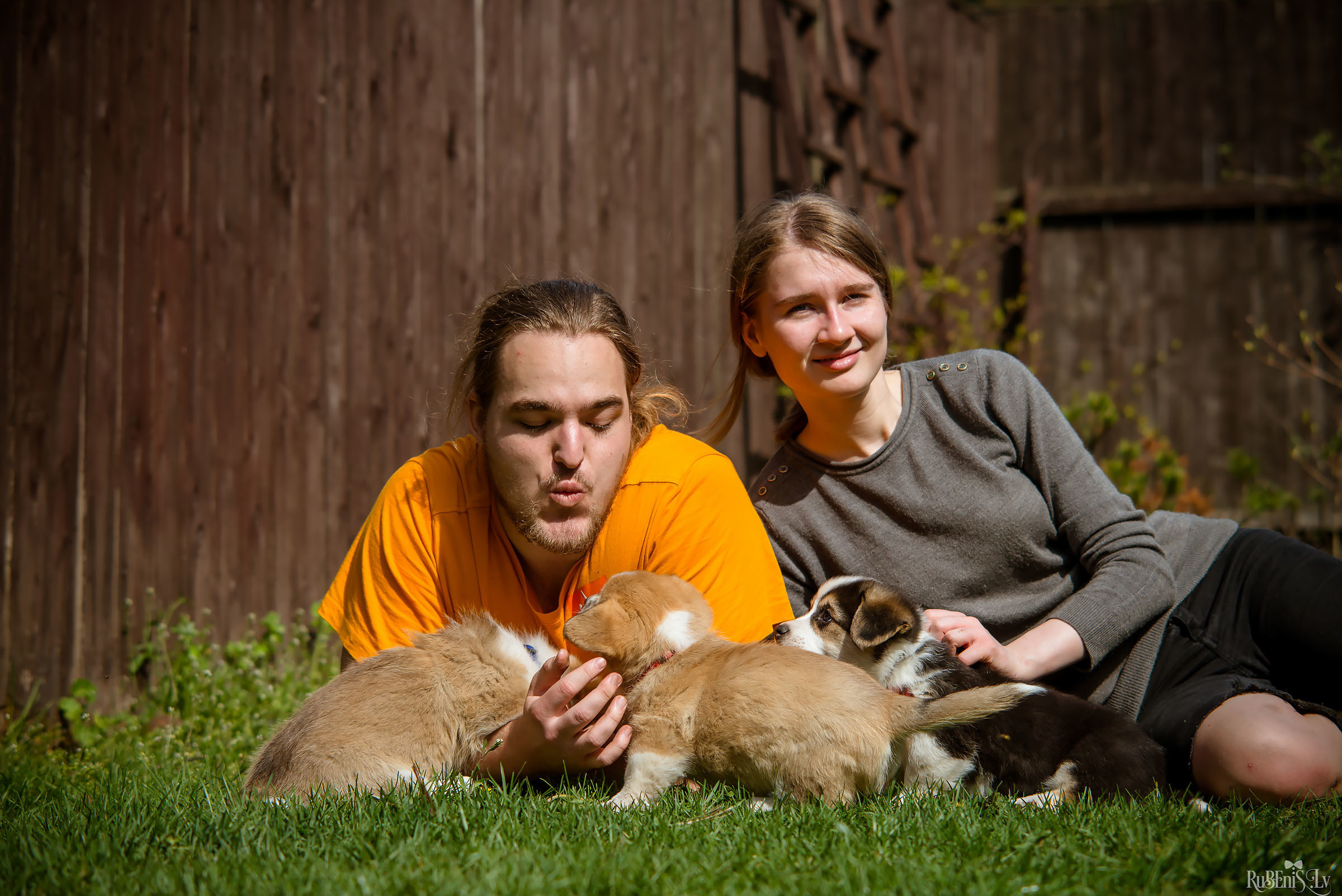 Анна и Марта / Корги и Гриффоны. Фотограф Ромуальд Рубенис и Артемий Сташанс