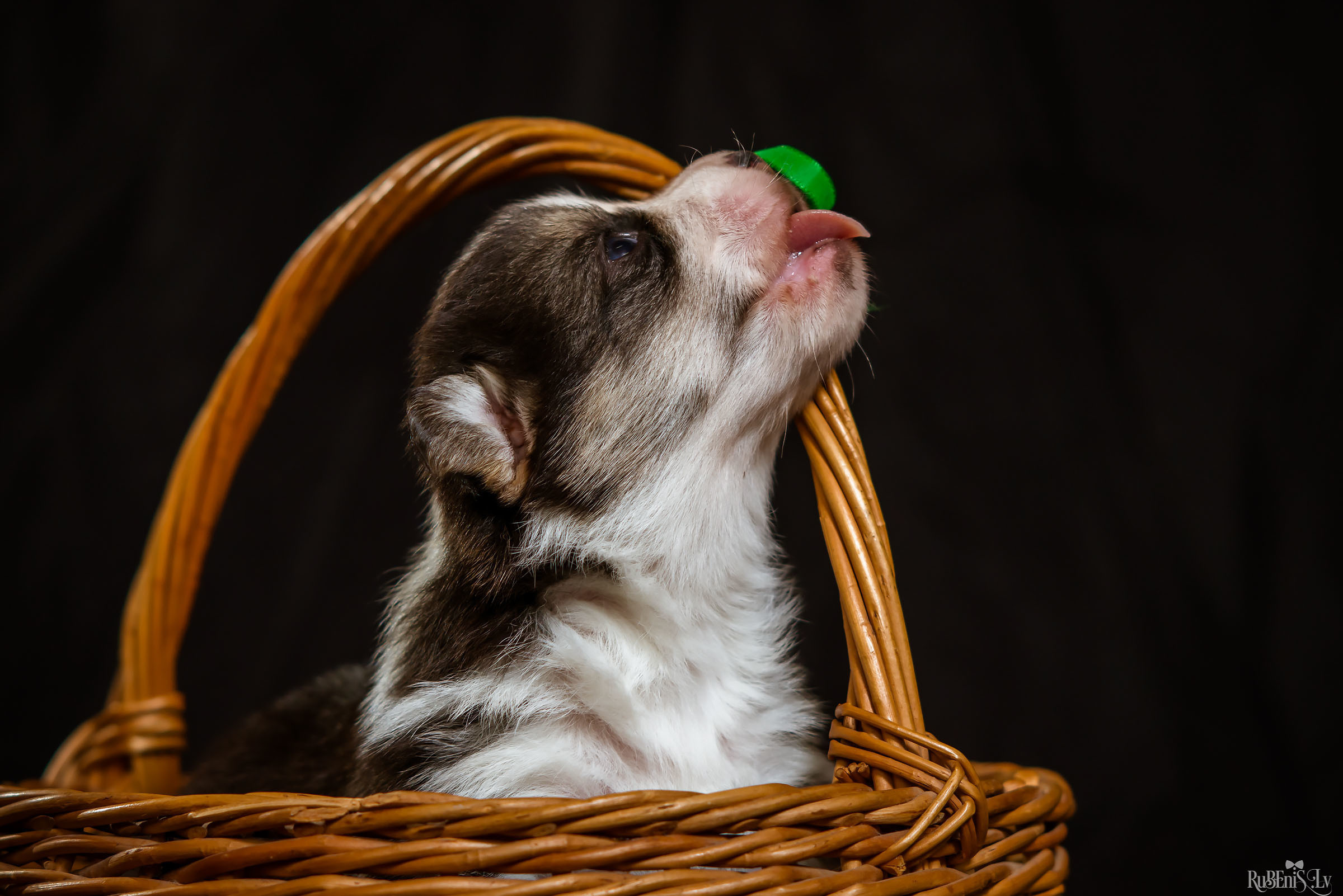 Fotogrāfs Romualds Rubenis un Artemijs Stašāns