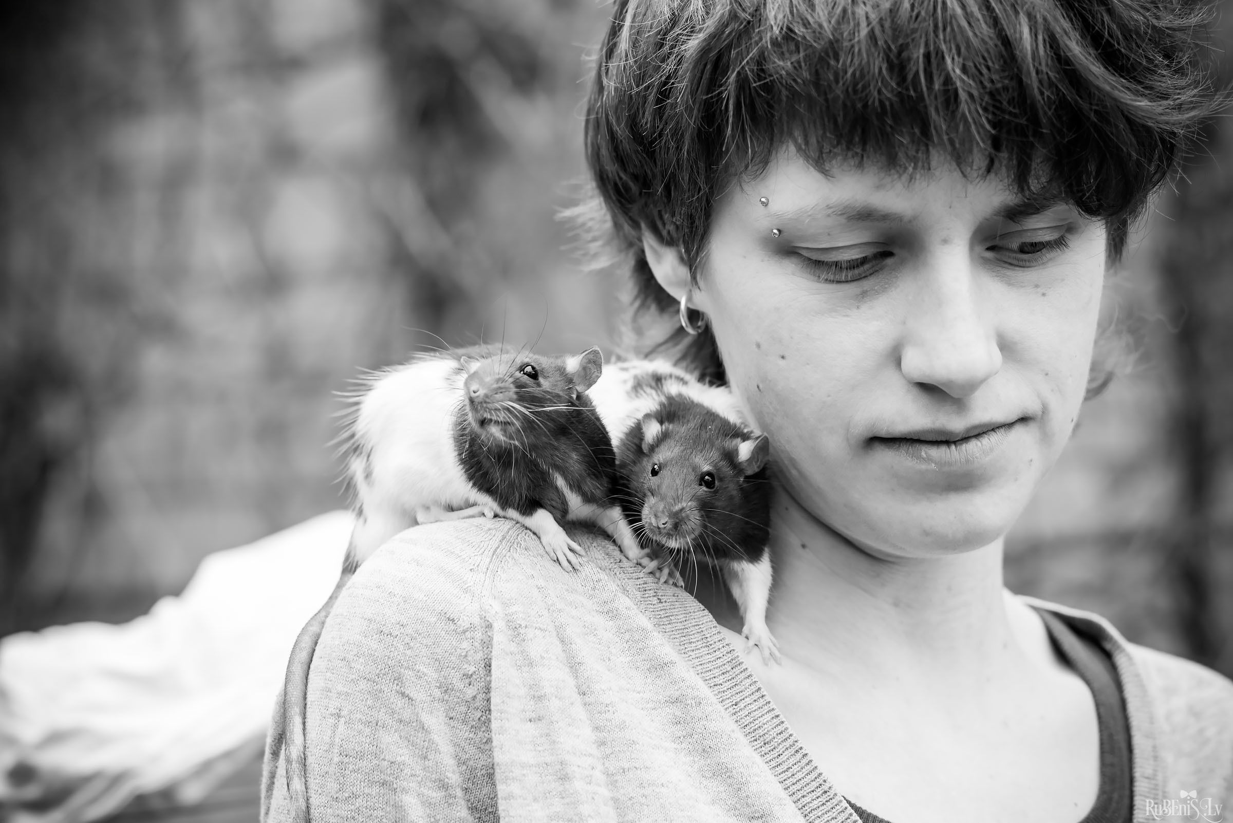 Анна и Марта / Корги и Гриффоны. Фотограф Ромуальд Рубенис и Артемий Сташанс