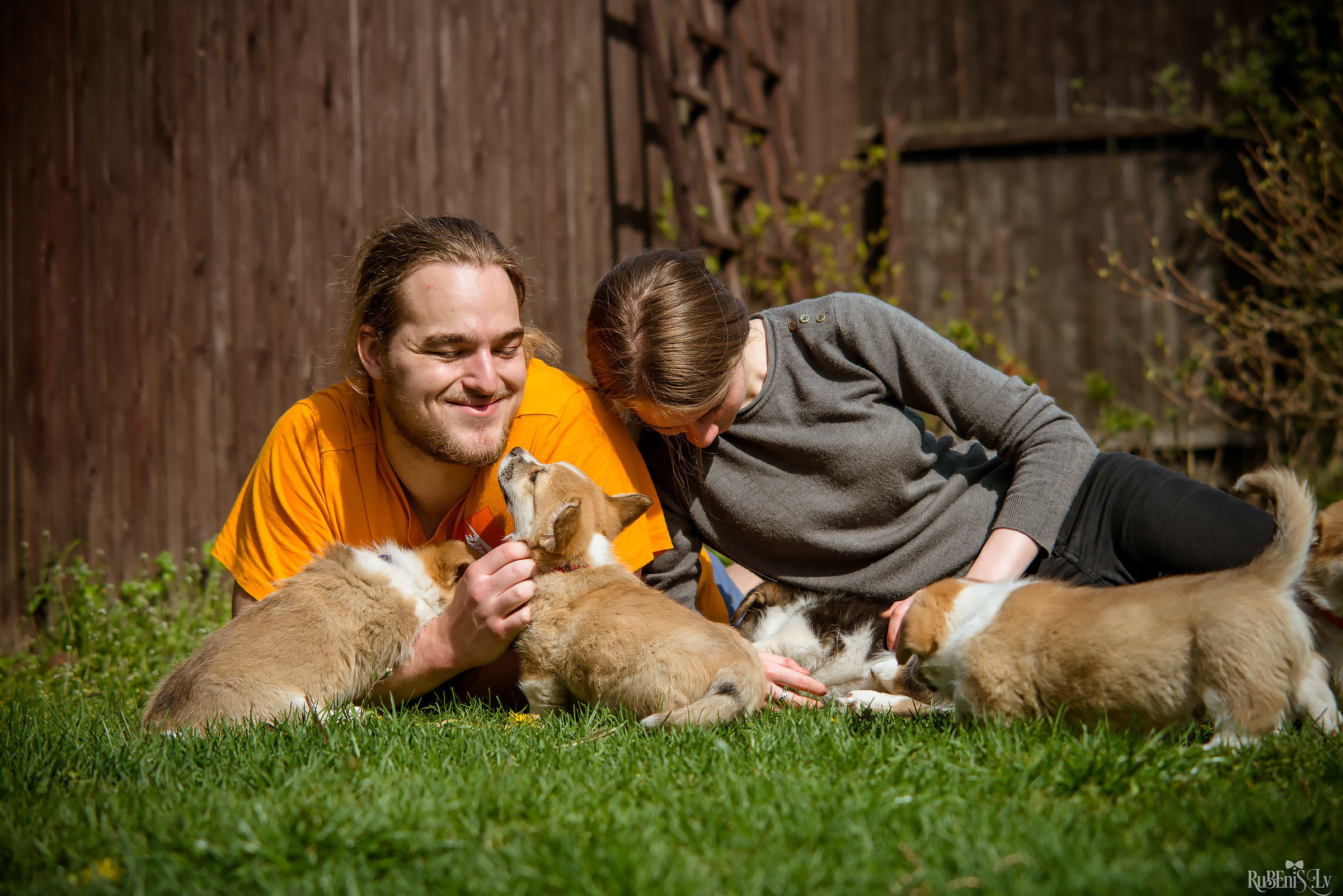 Анна и Марта / Корги и Гриффоны. Фотограф Ромуальд Рубенис и Артемий Сташанс