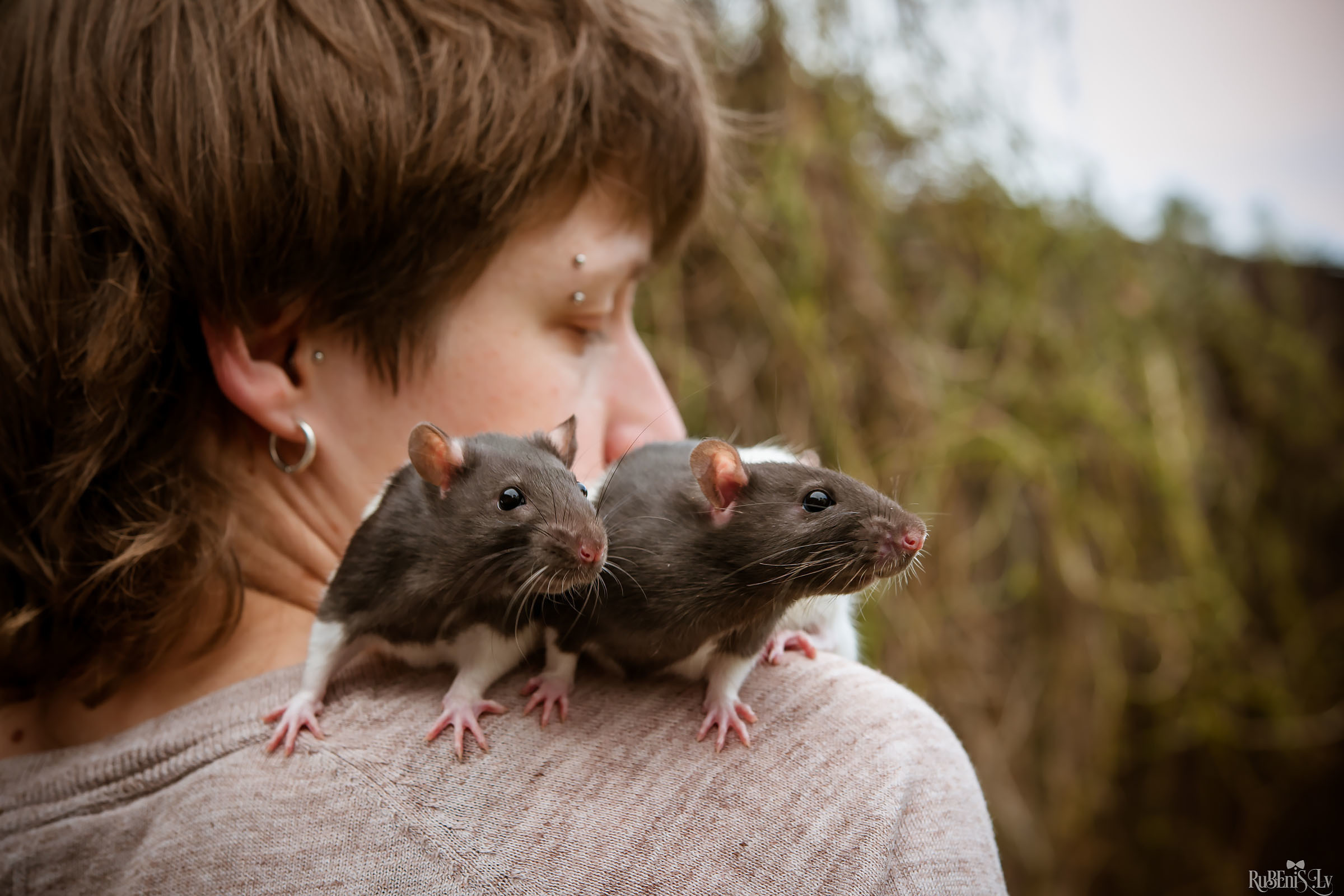 Анна и Марта / Корги и Гриффоны. Фотограф Ромуальд Рубенис и Артемий Сташанс