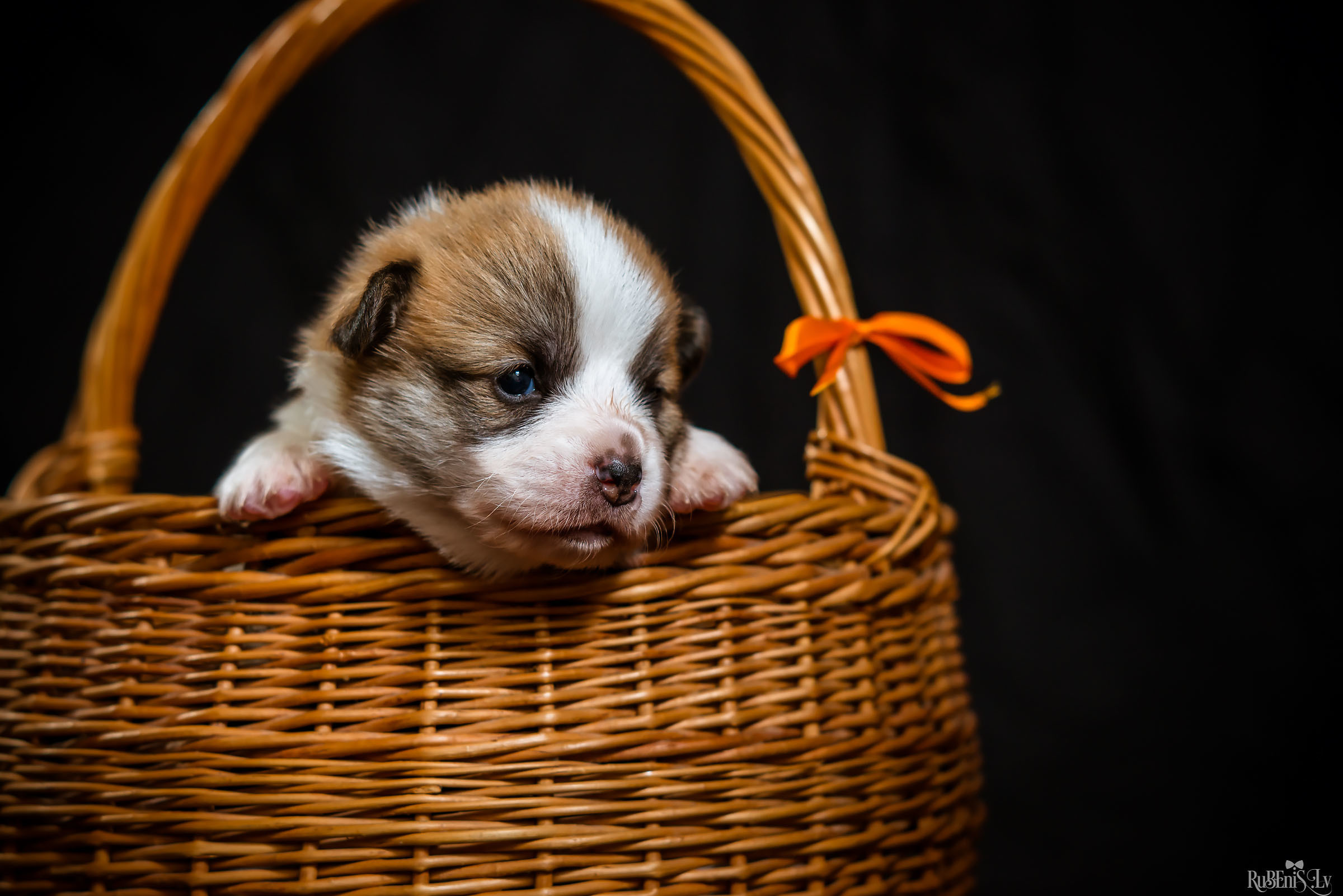 Fotogrāfs Romualds Rubenis un Artemijs Stašāns