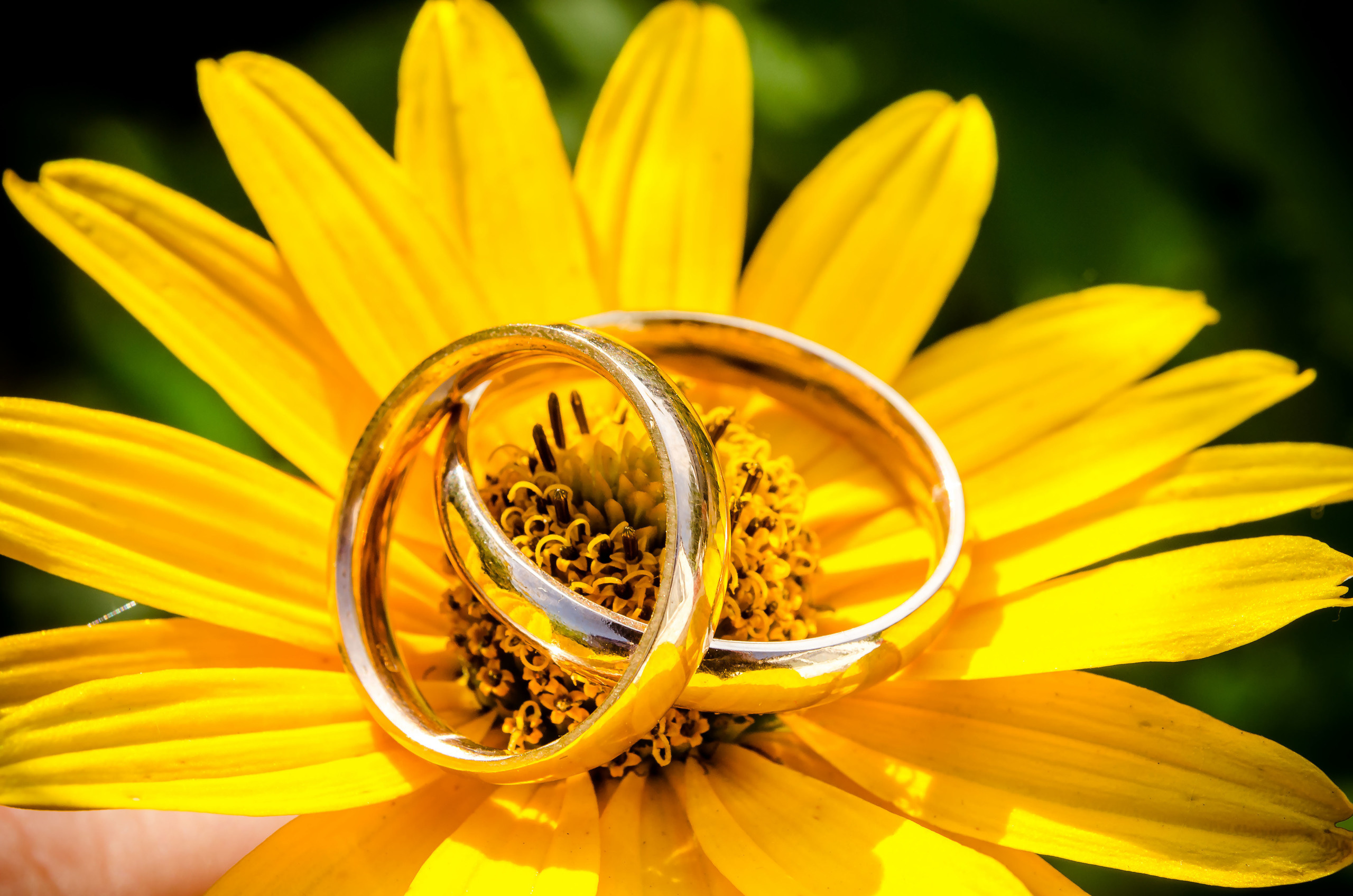 Фотосъемка в Даугавпилсе. Фотограф Ромуальд Рубенис и Артемий Сташанс