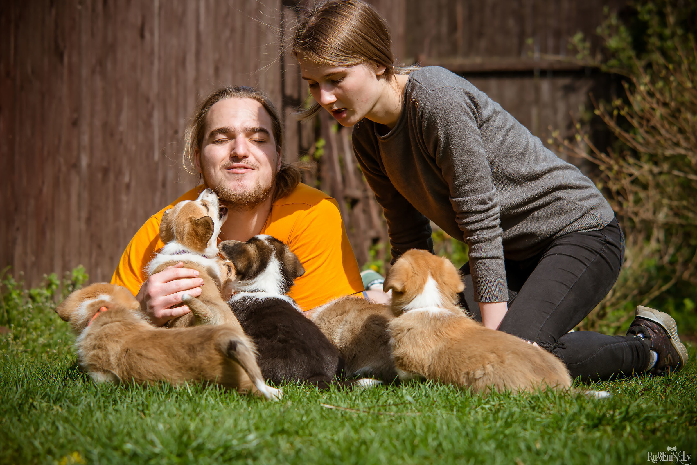 Анна и Марта / Корги и Гриффоны. Фотограф Ромуальд Рубенис и Артемий Сташанс