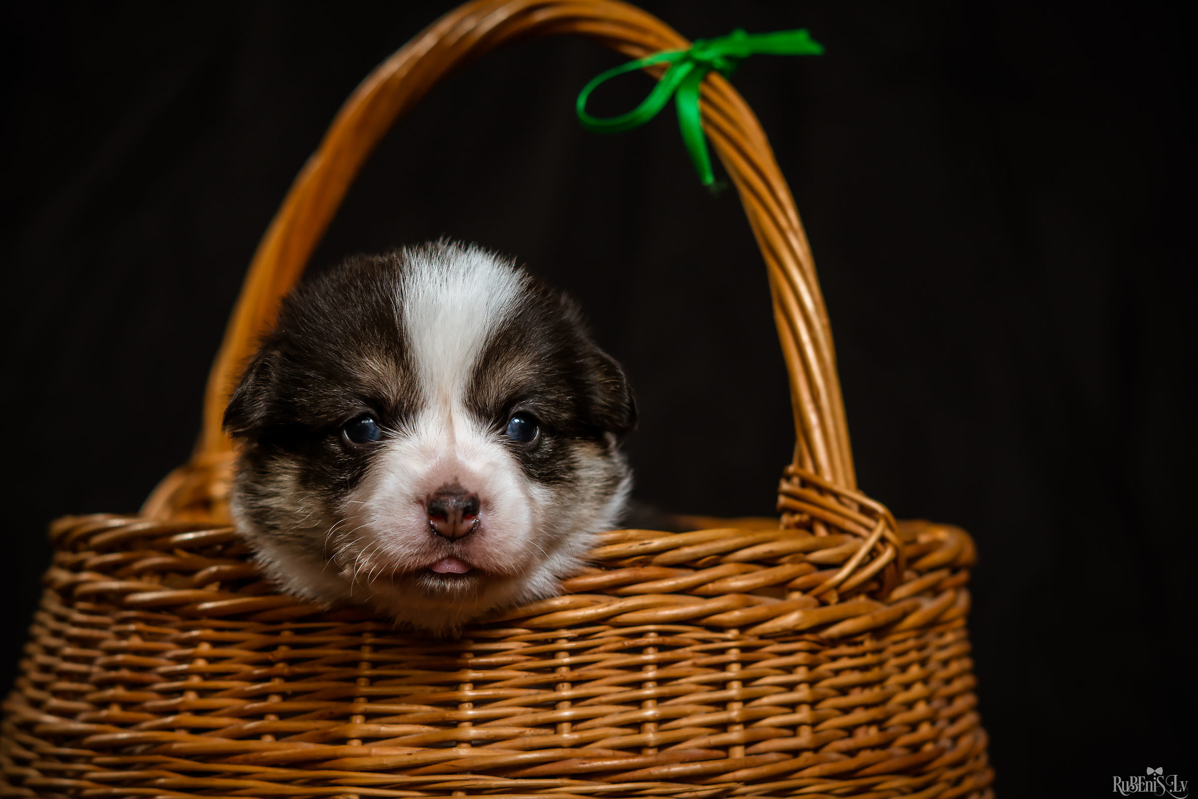Fotogrāfs Romualds Rubenis un Artemijs Stašāns