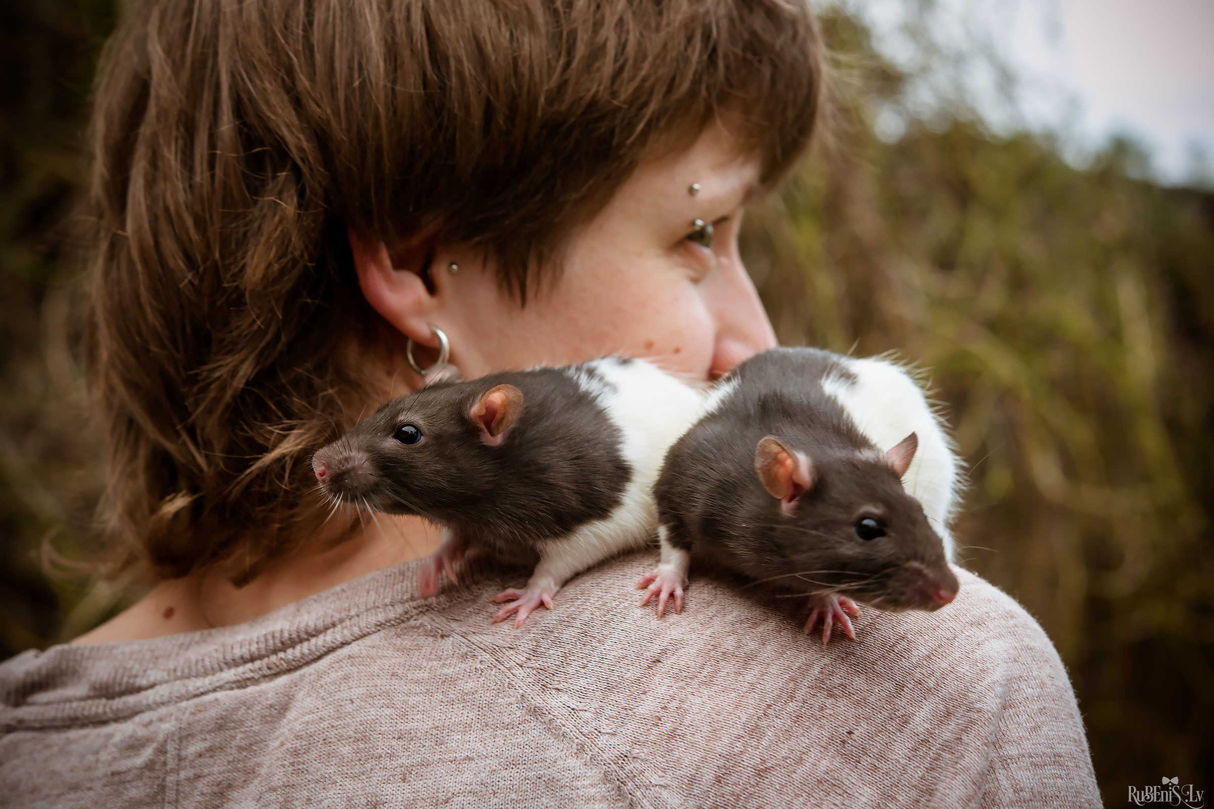 Анна и Марта / Корги и Гриффоны. Фотограф Ромуальд Рубенис и Артемий Сташанс