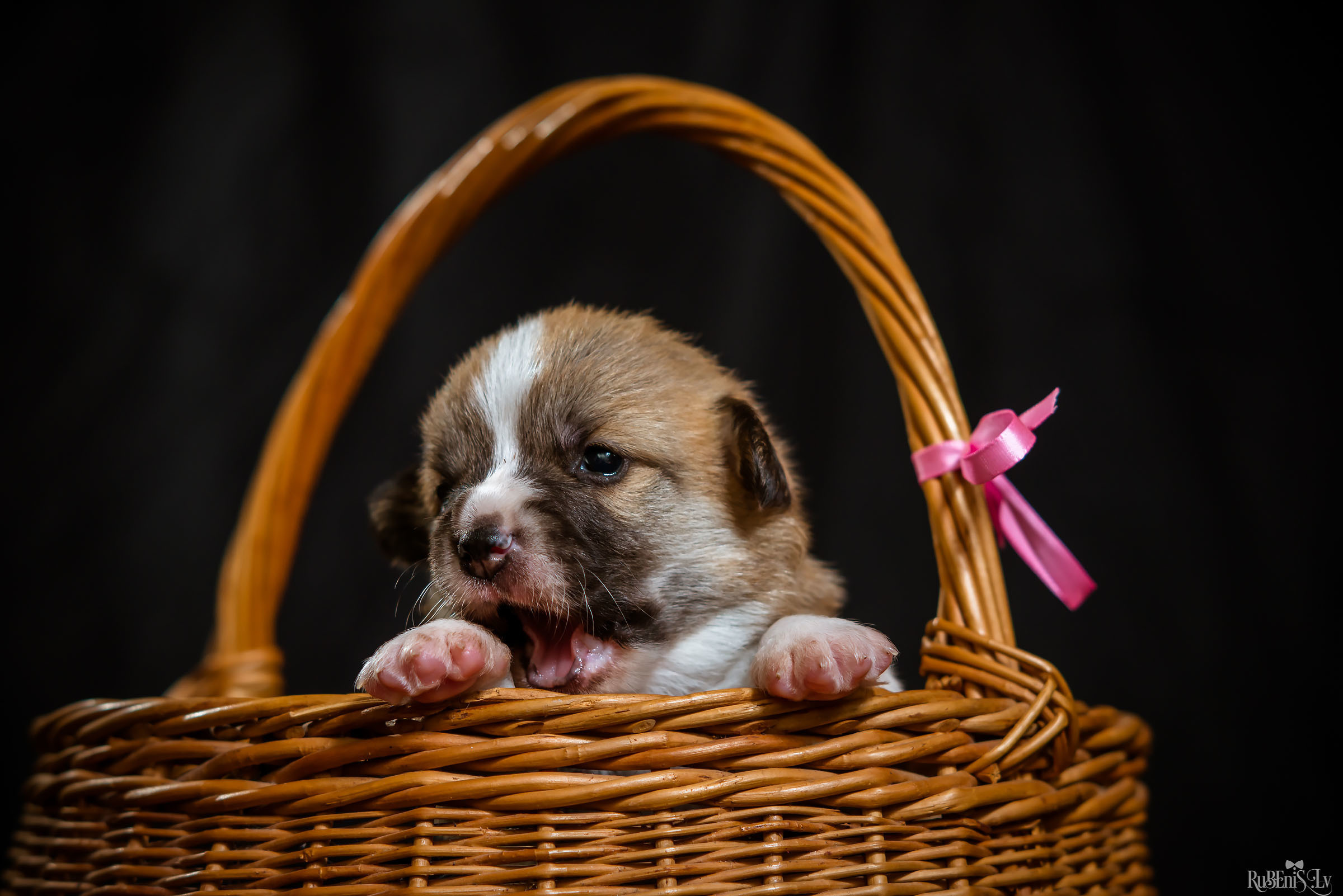 Fotogrāfs Romualds Rubenis un Artemijs Stašāns