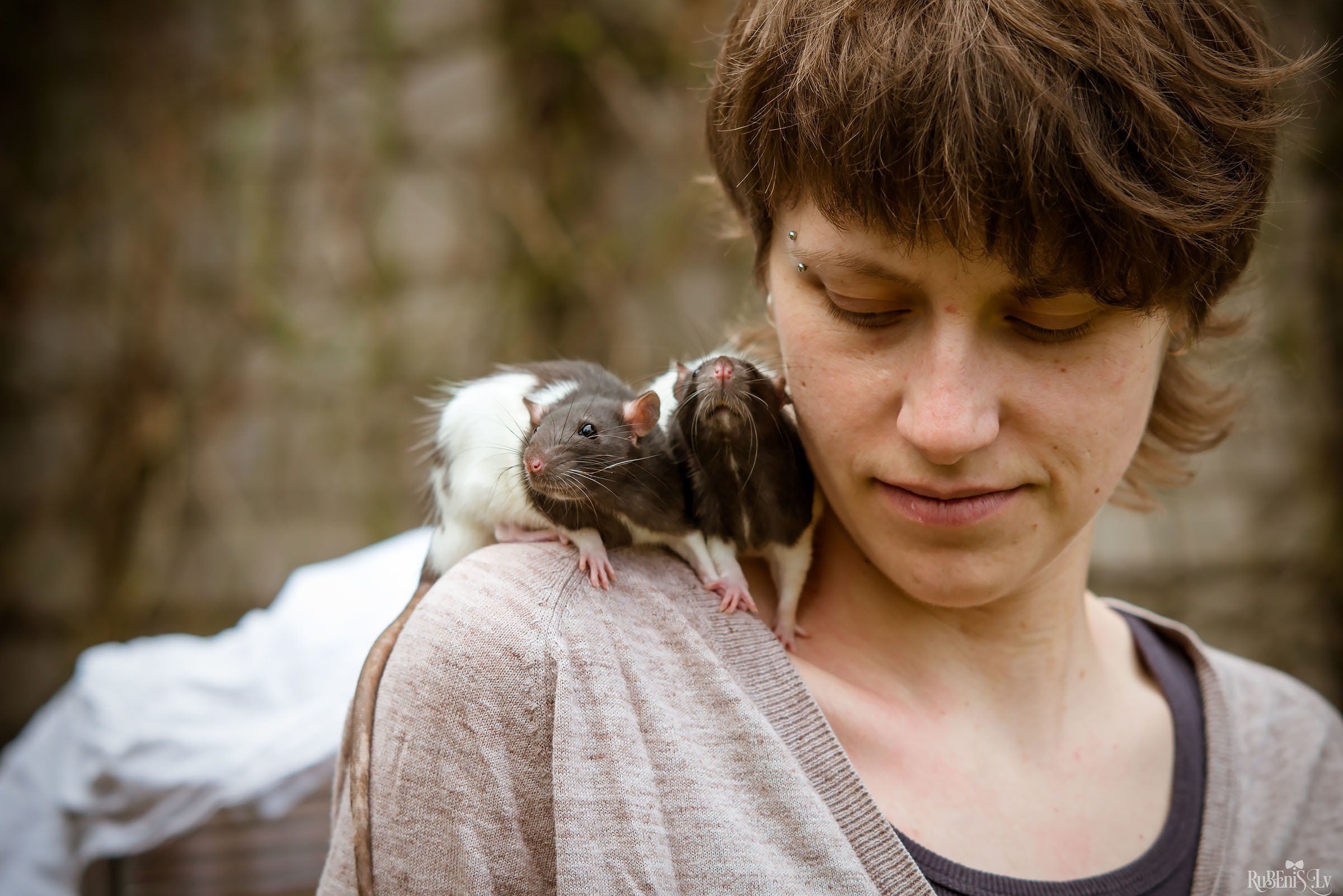 Анна и Марта / Корги и Гриффоны. Фотограф Ромуальд Рубенис и Артемий Сташанс