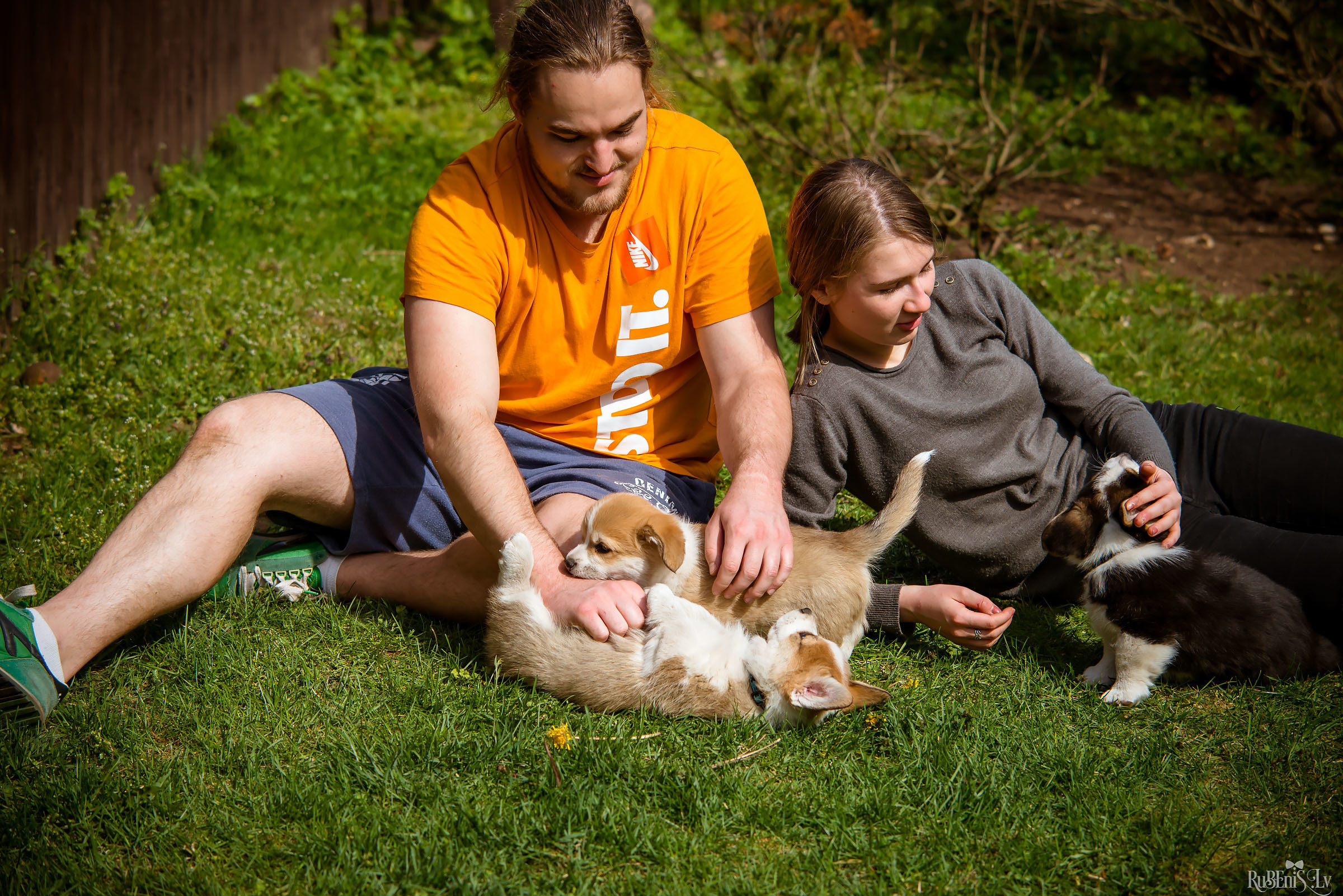 Анна и Марта / Корги и Гриффоны. Фотограф Ромуальд Рубенис и Артемий Сташанс