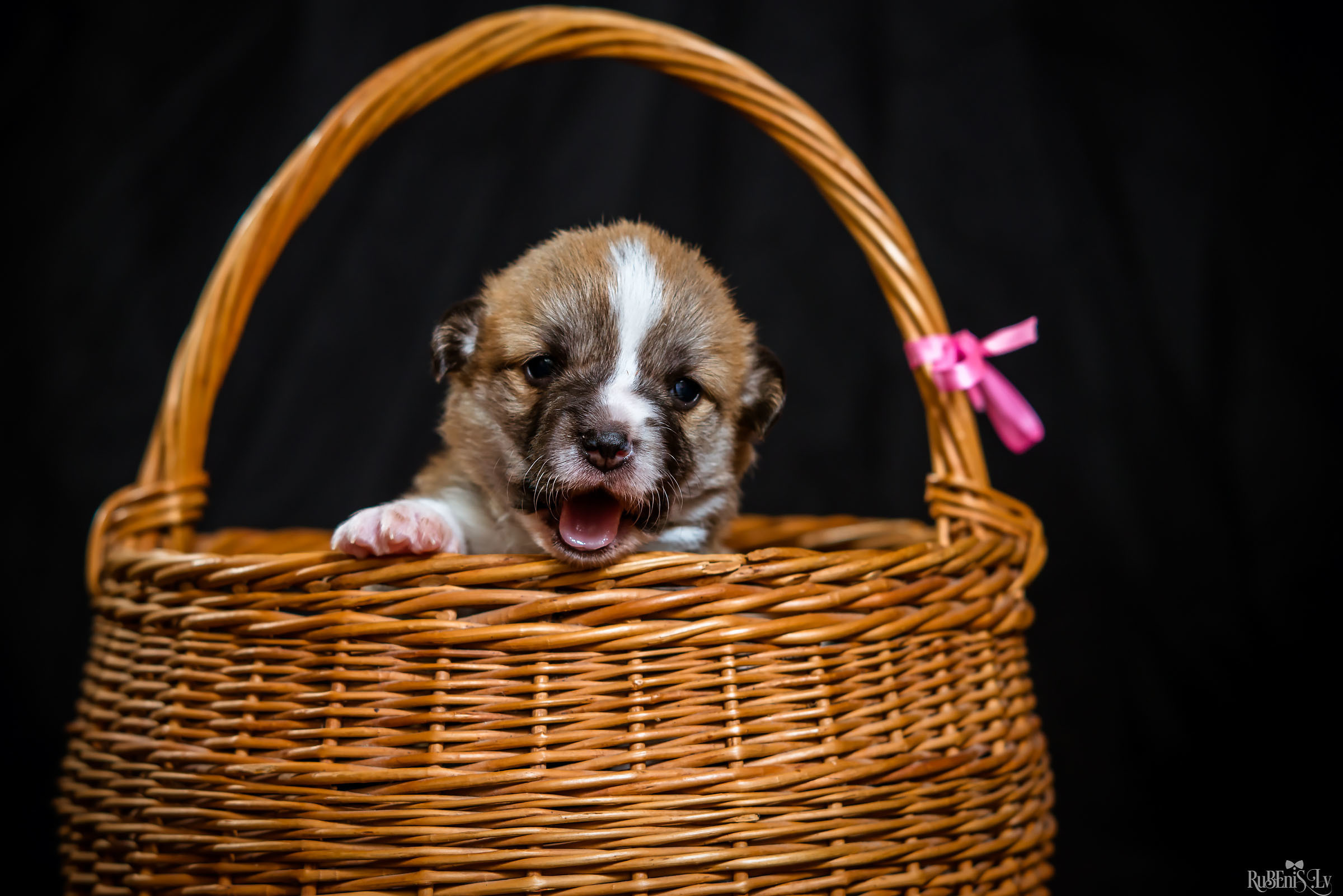 Fotogrāfs Romualds Rubenis un Artemijs Stašāns