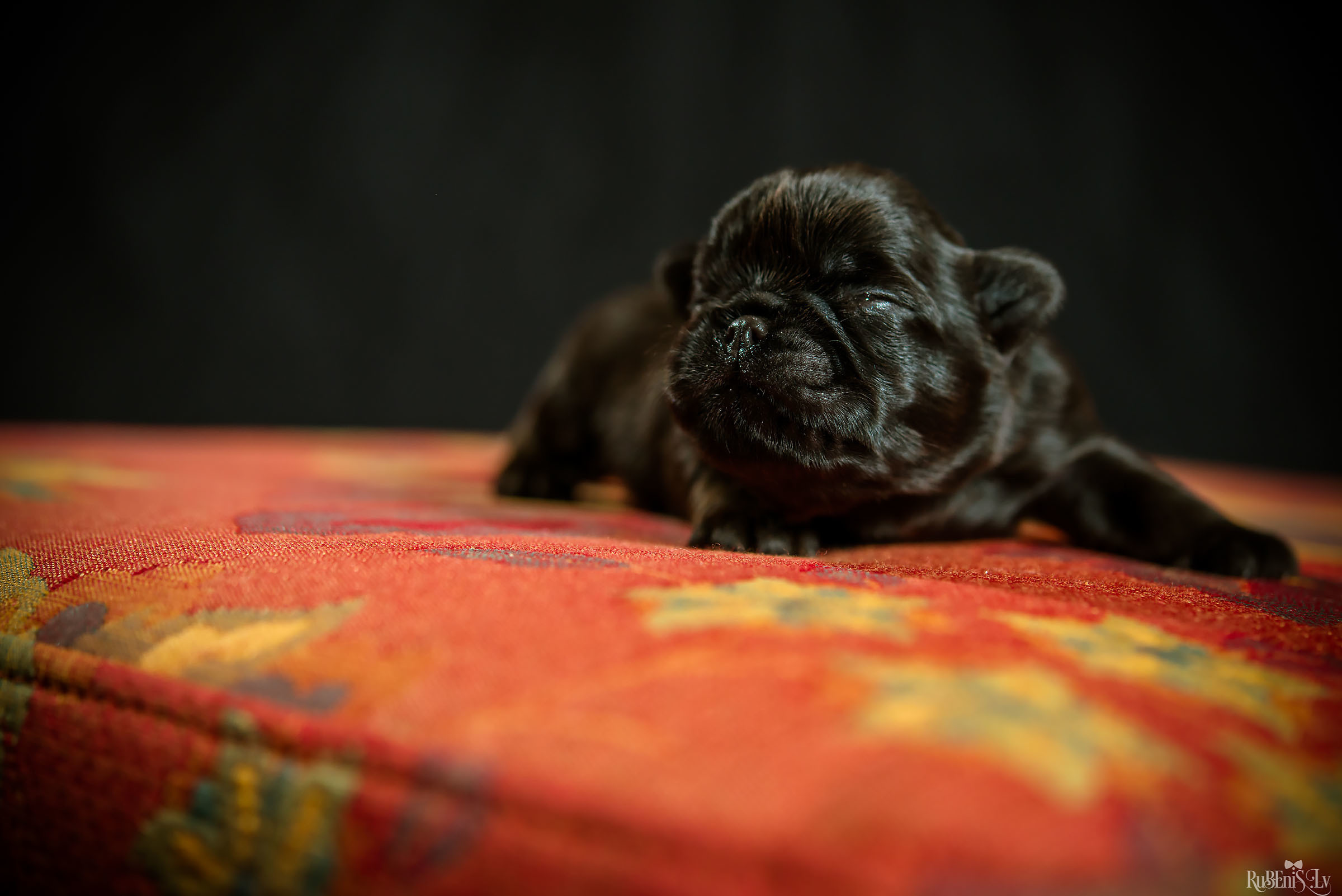 Fotogrāfs Romualds Rubenis un Artemijs Stašāns