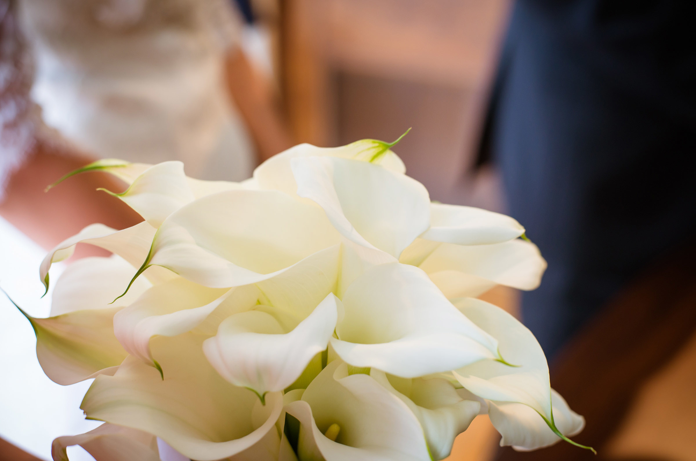 Jekaterina un Nikolajs. Fotogrāfs Romualds Rubenis un Artemijs Stašāns