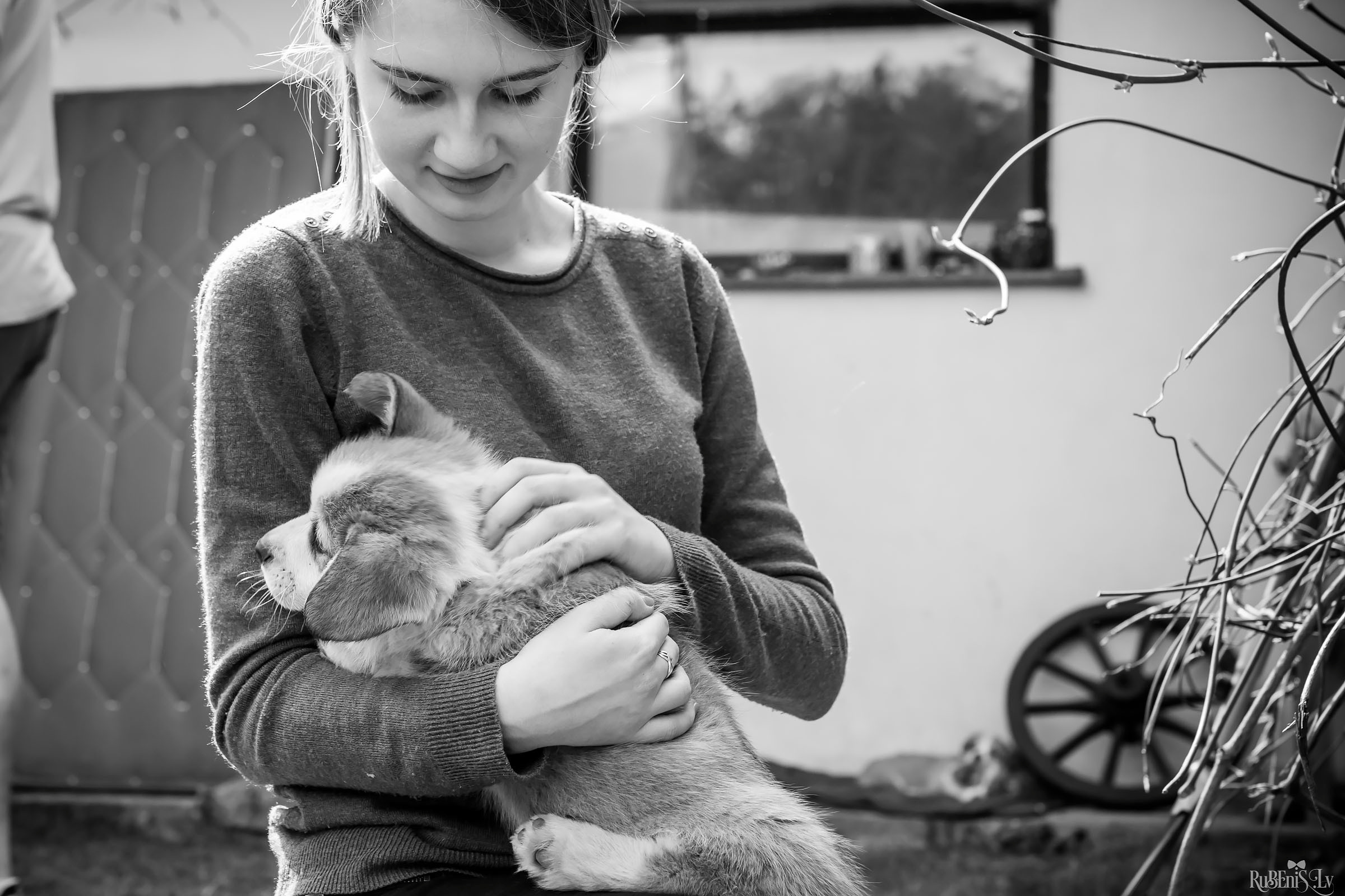 Анна и Марта / Корги и Гриффоны. Фотограф Ромуальд Рубенис и Артемий Сташанс