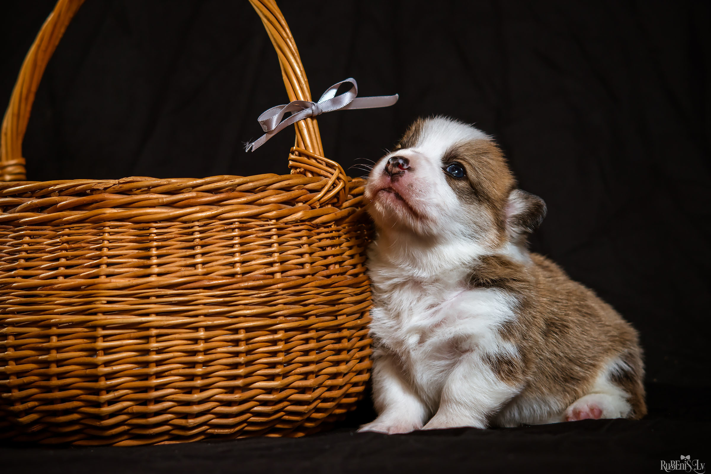 Fotogrāfs Romualds Rubenis un Artemijs Stašāns