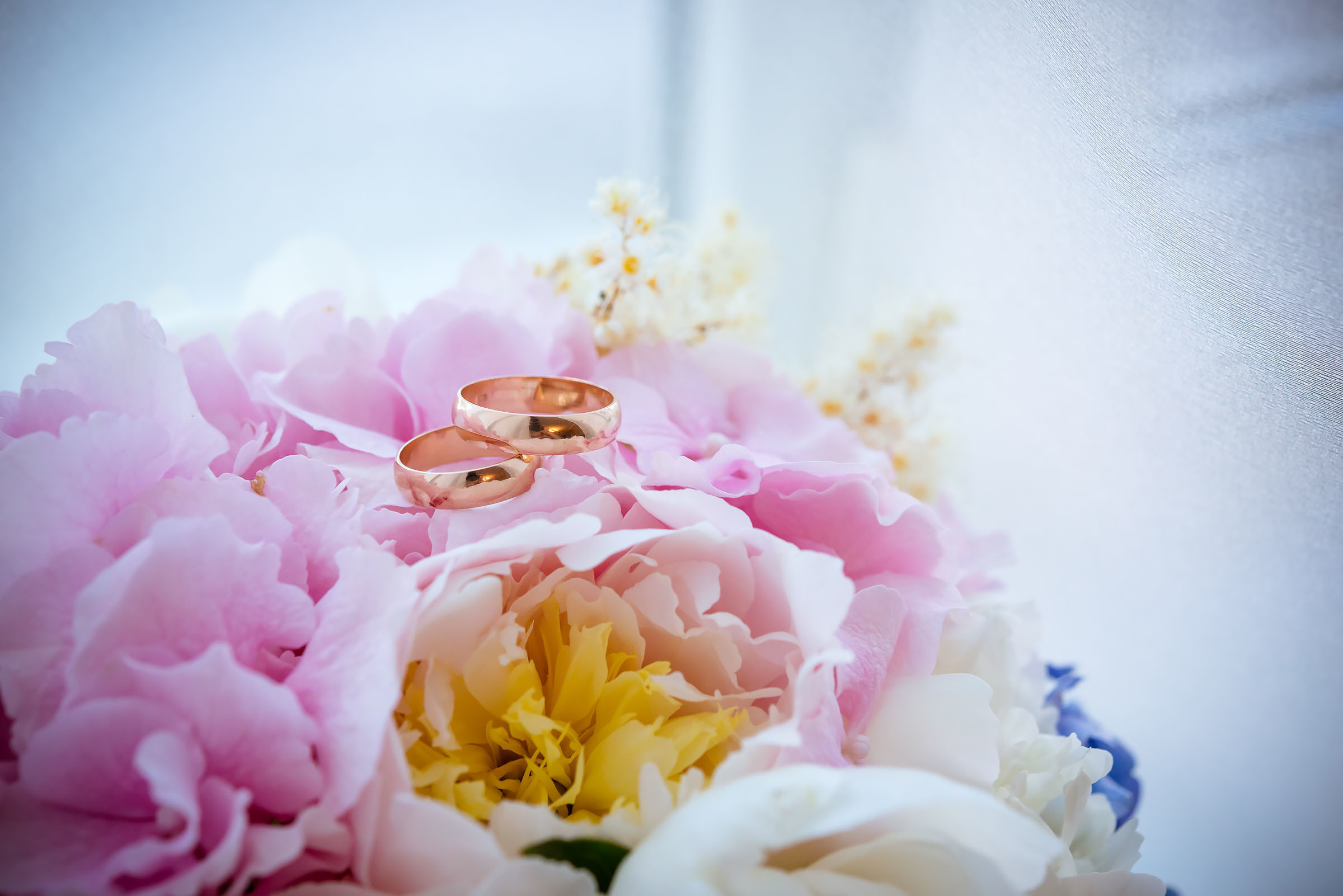 Stefani un Edvins. Fotogrāfs Romualds Rubenis un Artemijs Stašāns