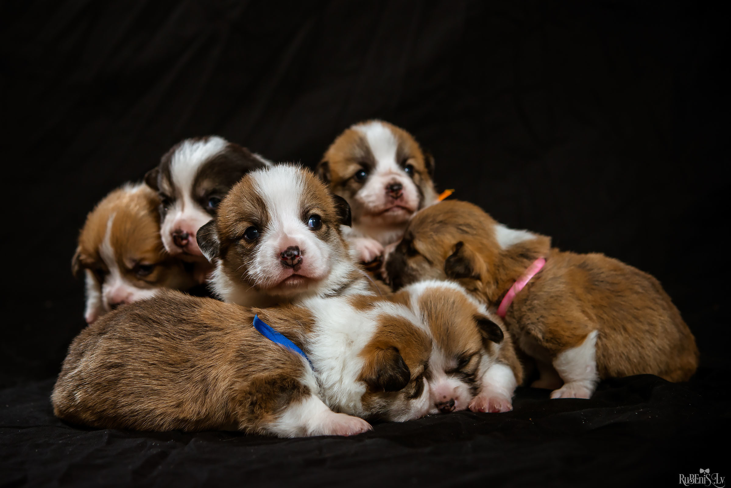 Fotogrāfs Romualds Rubenis un Artemijs Stašāns