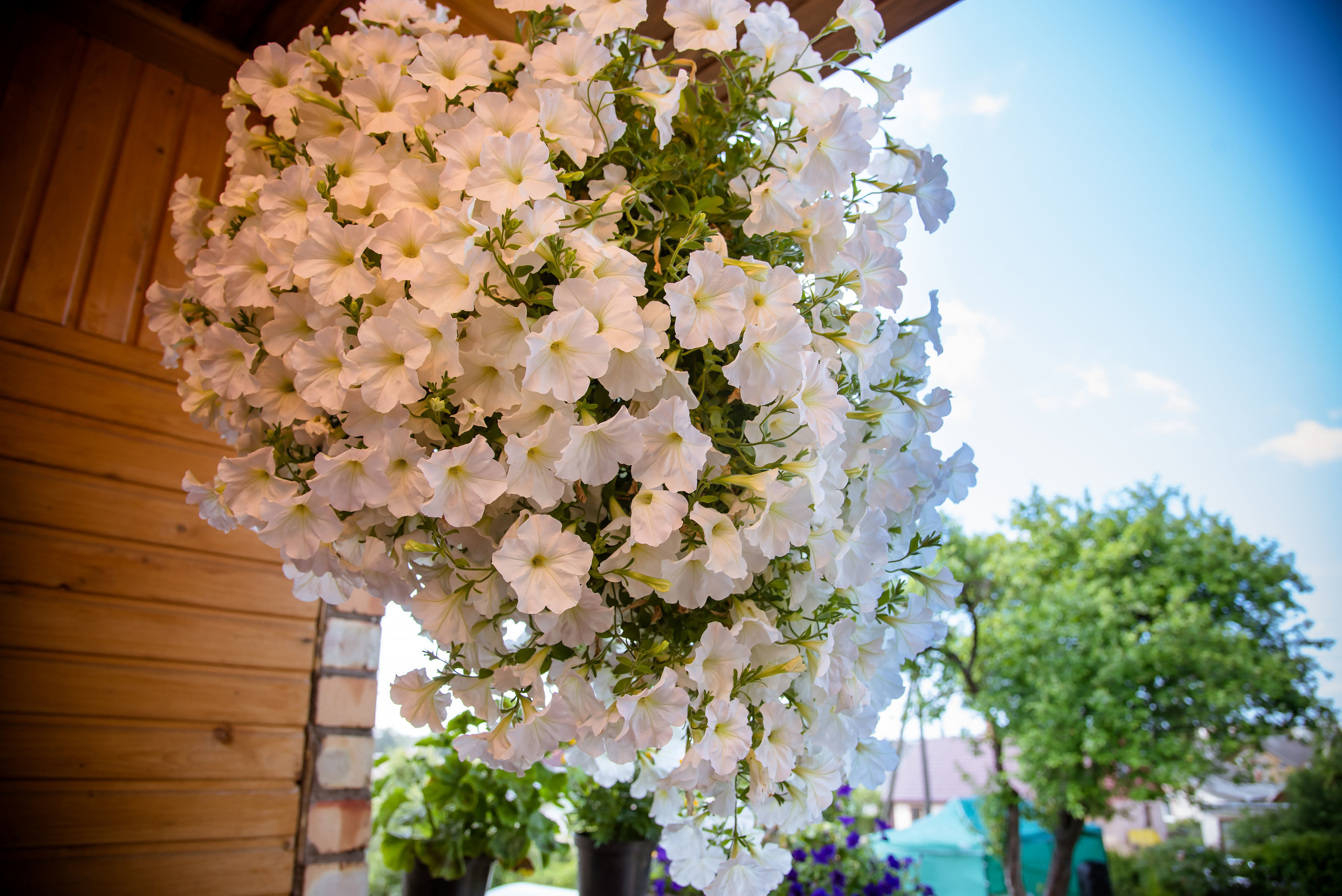 Fotogrāfs Romualds Rubenis un Artemijs Stašāns