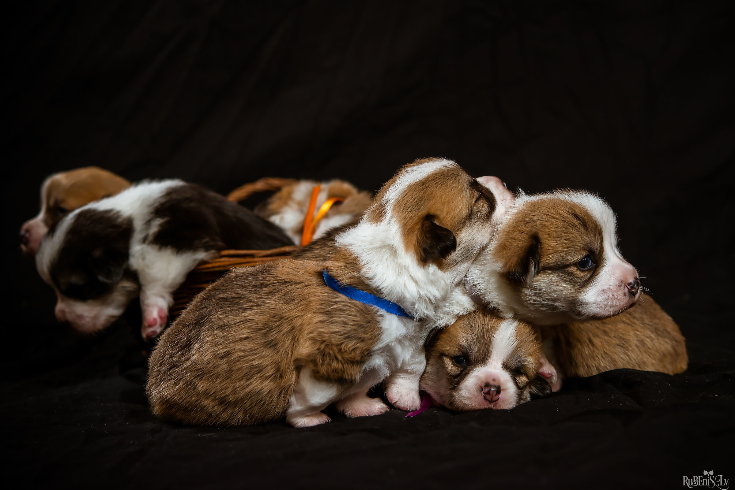 Fotogrāfs Romualds Rubenis un Artemijs Stašāns