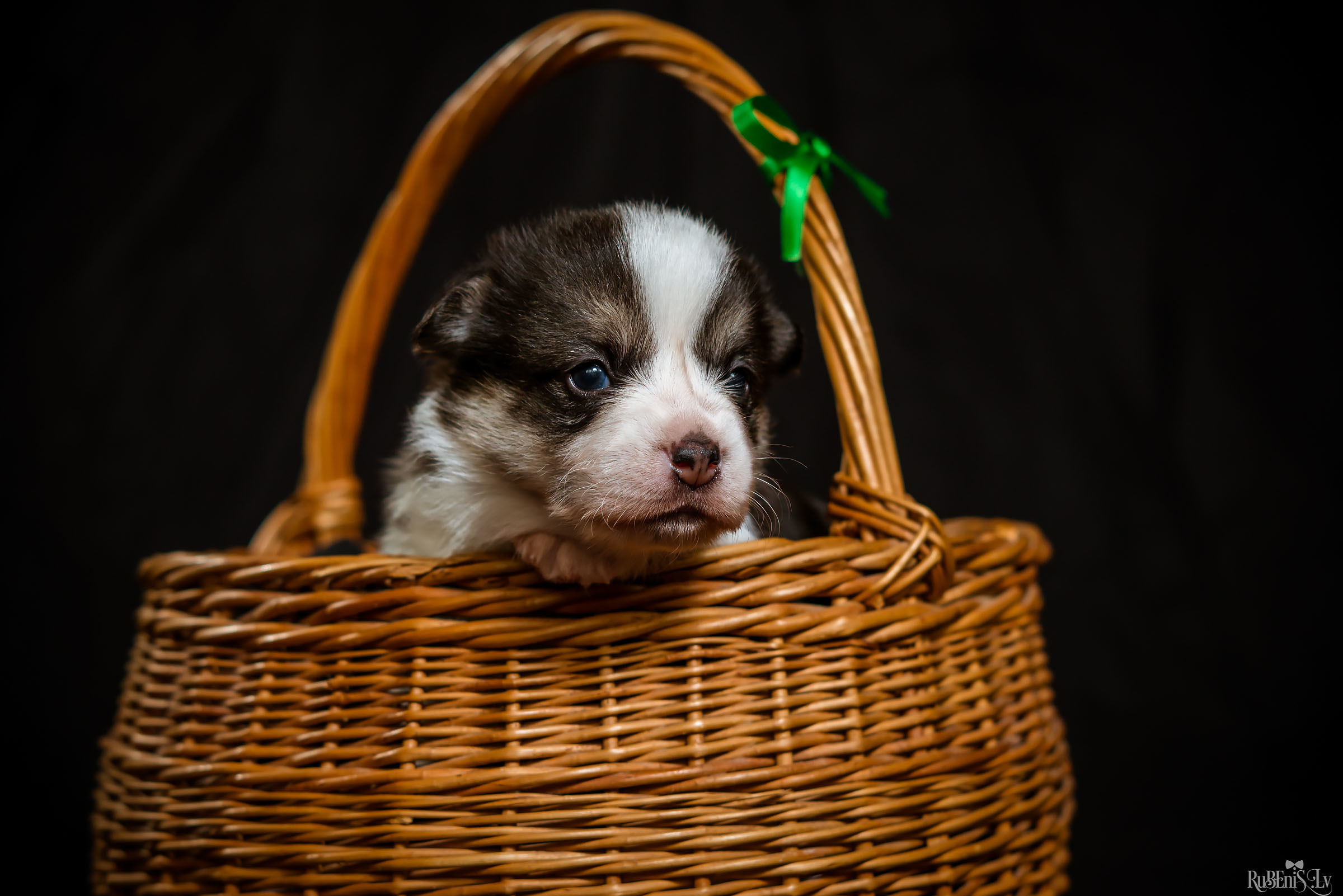 Fotogrāfs Romualds Rubenis un Artemijs Stašāns