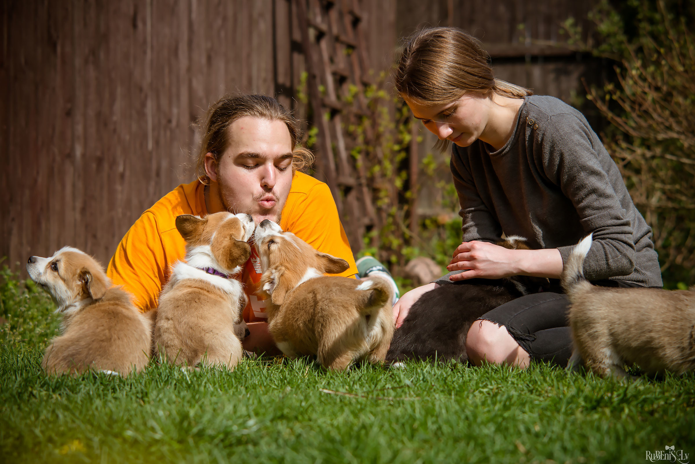 Анна и Марта / Корги и Гриффоны. Фотограф Ромуальд Рубенис и Артемий Сташанс