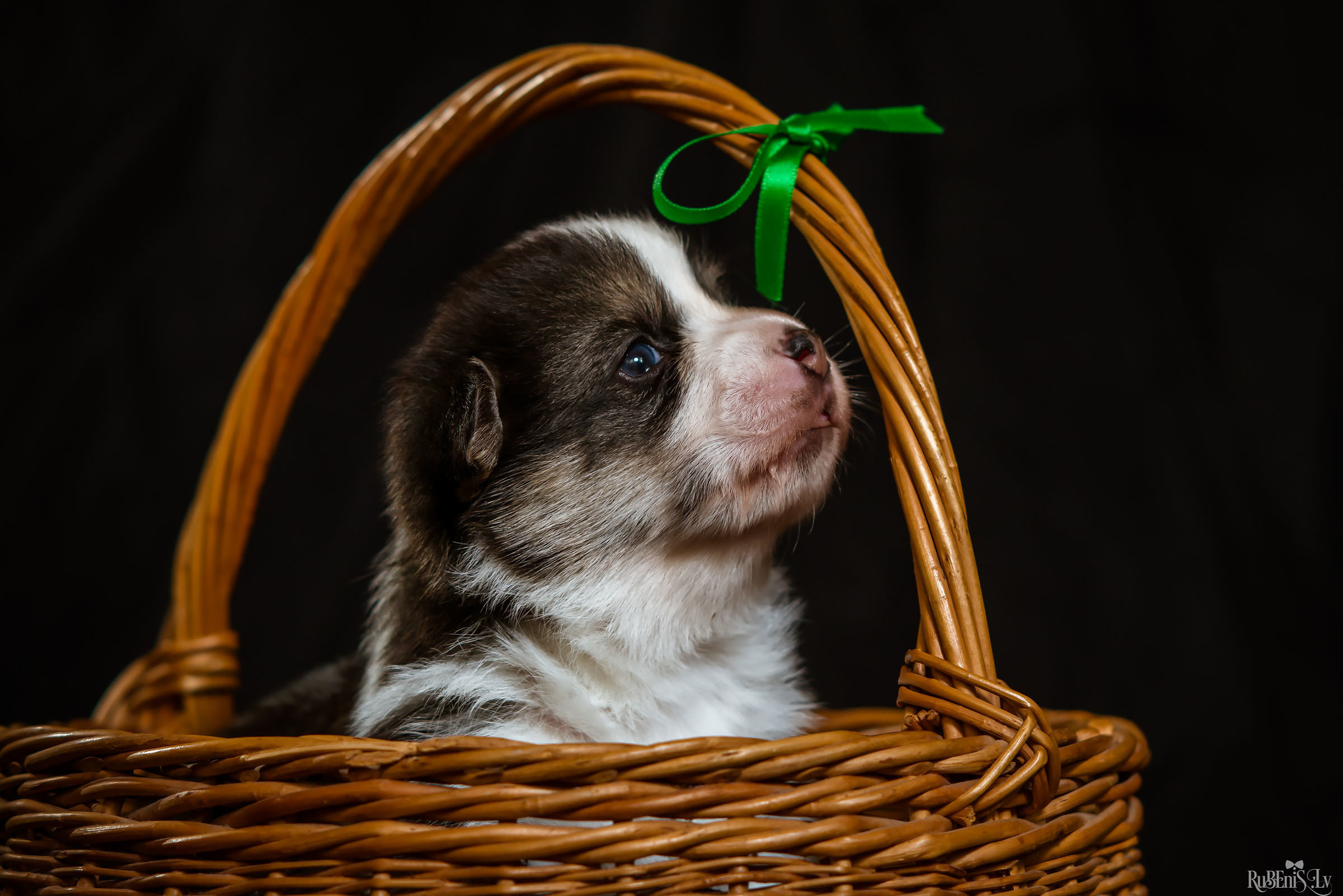 Fotogrāfs Romualds Rubenis un Artemijs Stašāns