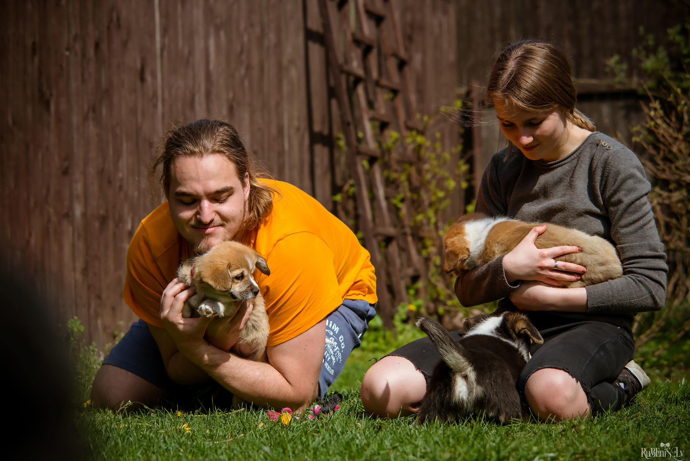 Анна и Марта / Корги и Гриффоны. Фотограф Ромуальд Рубенис и Артемий Сташанс