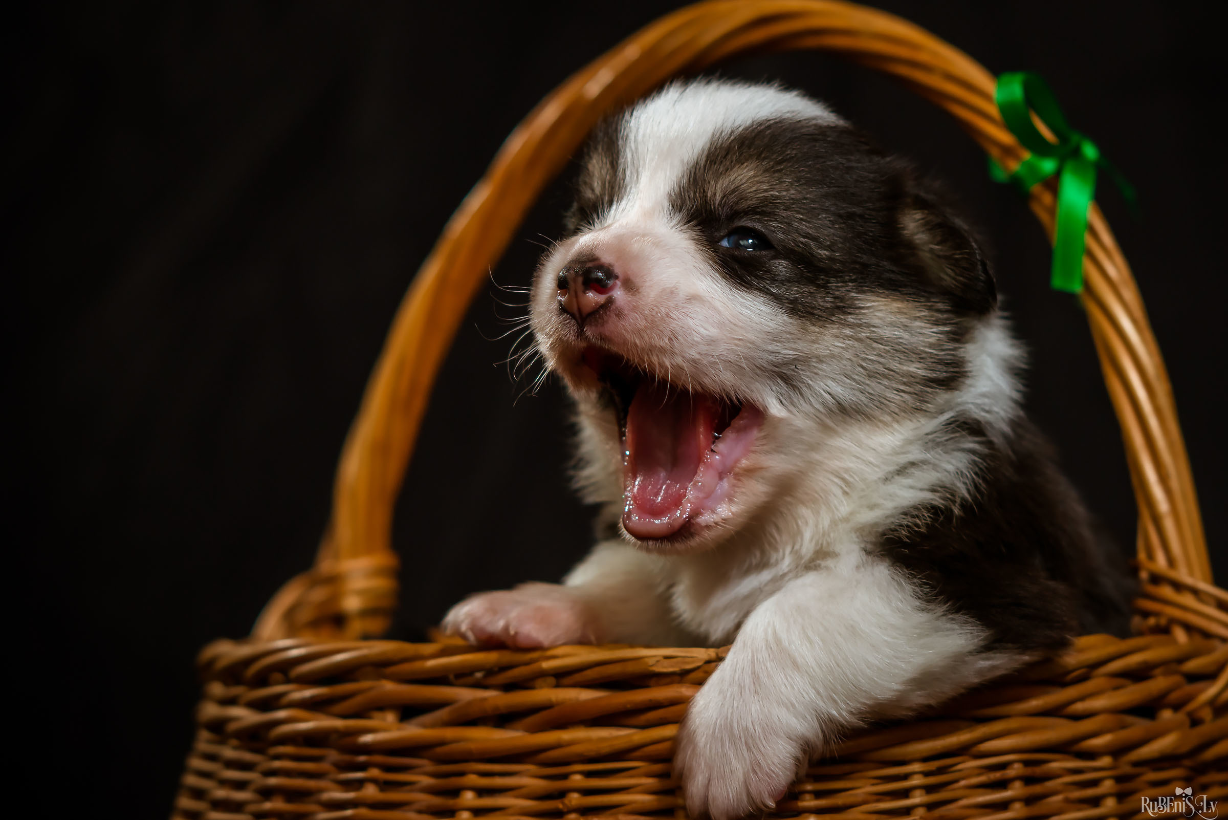 Fotogrāfs Romualds Rubenis un Artemijs Stašāns