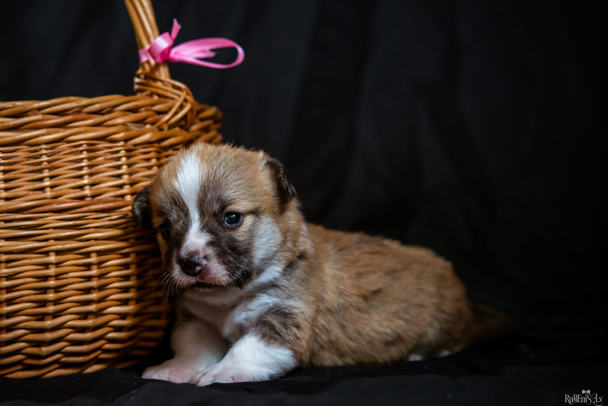 Fotogrāfs Romualds Rubenis un Artemijs Stašāns
