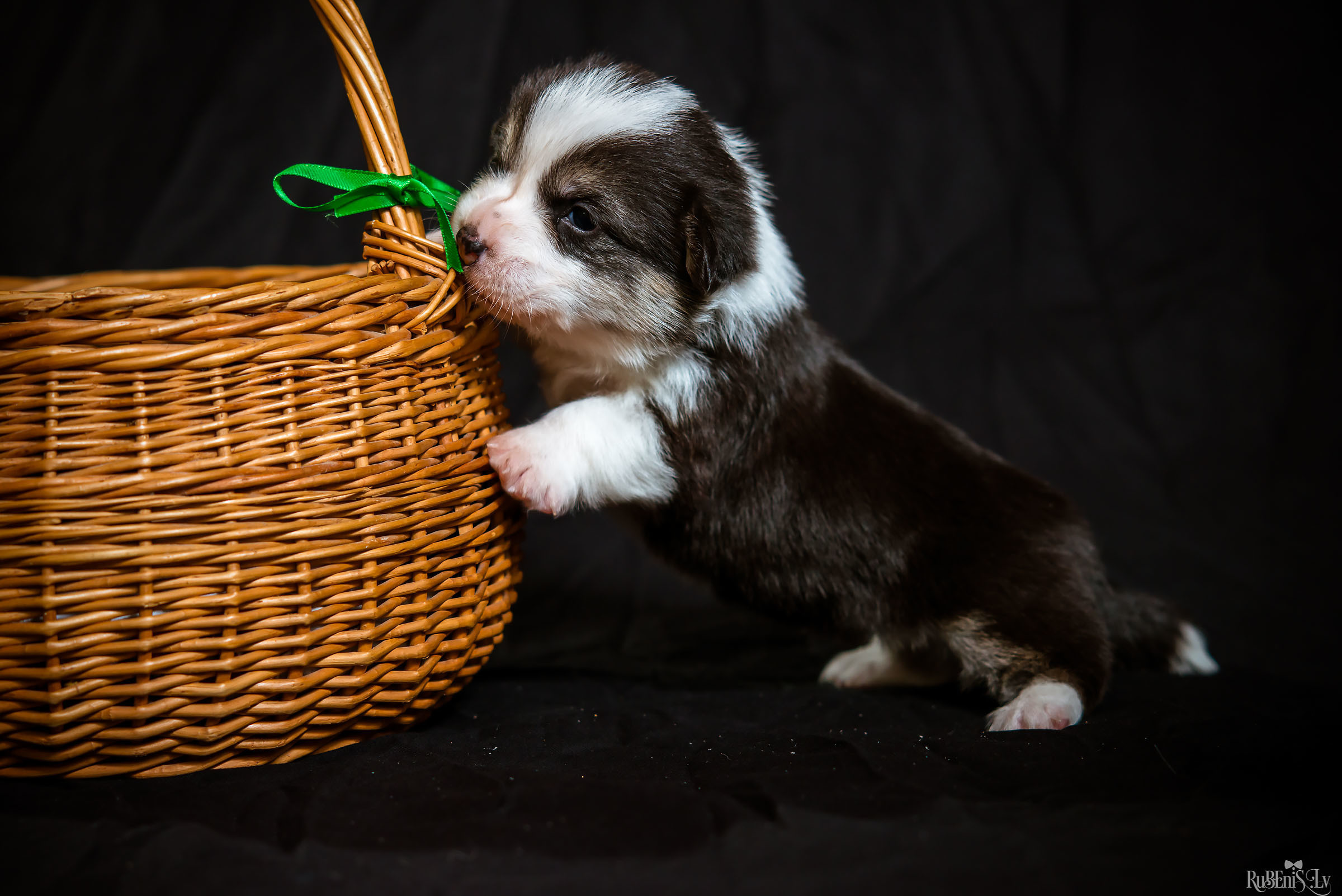 Fotogrāfs Romualds Rubenis un Artemijs Stašāns