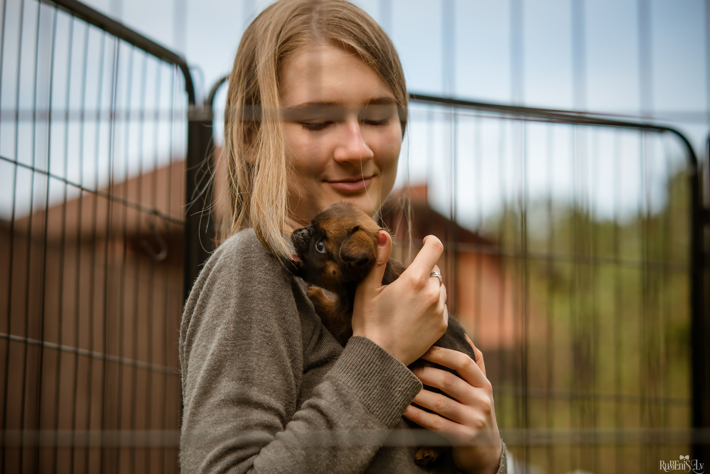 Анна и Марта / Корги и Гриффоны. Фотограф Ромуальд Рубенис и Артемий Сташанс