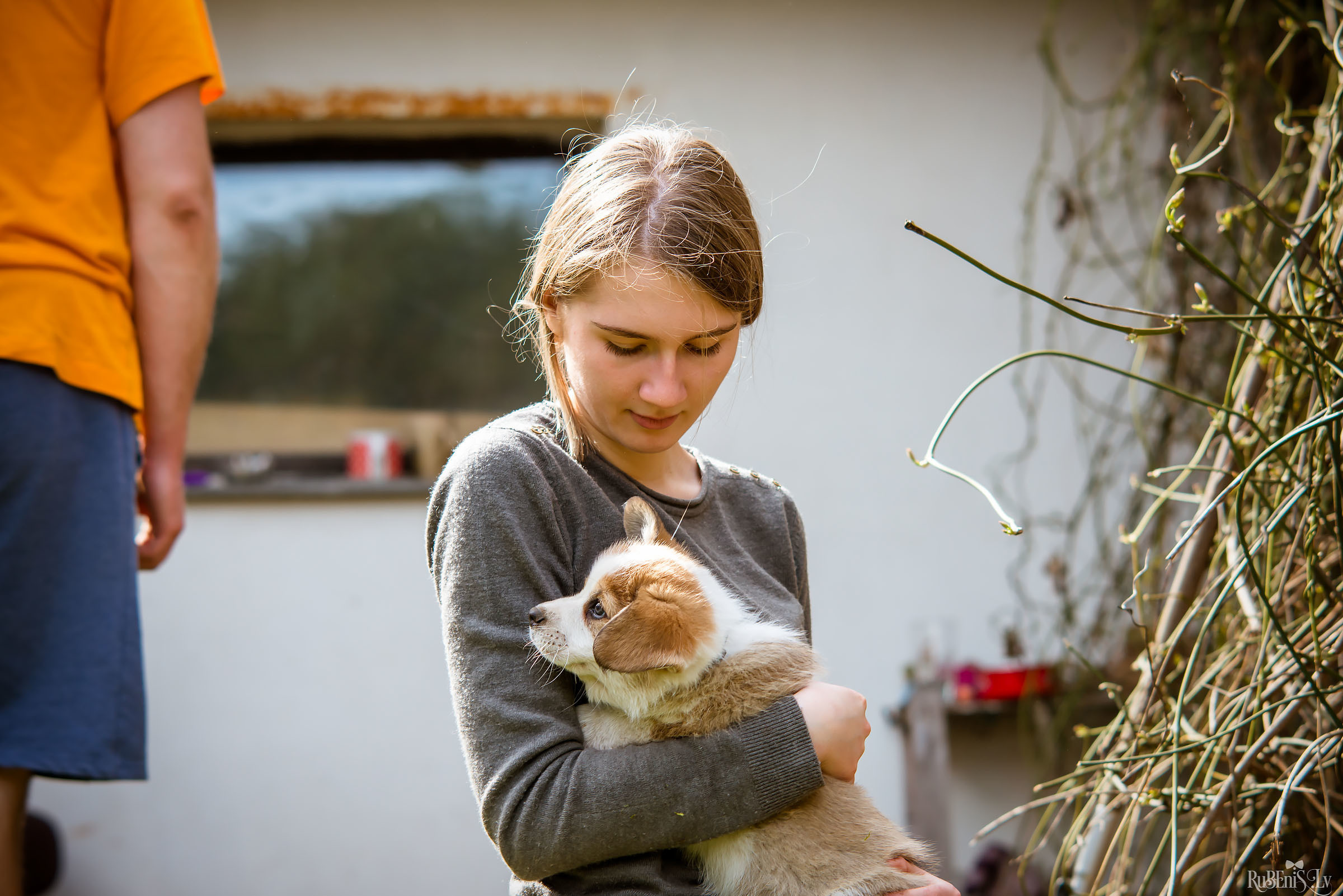 Анна и Марта / Корги и Гриффоны. Фотограф Ромуальд Рубенис и Артемий Сташанс