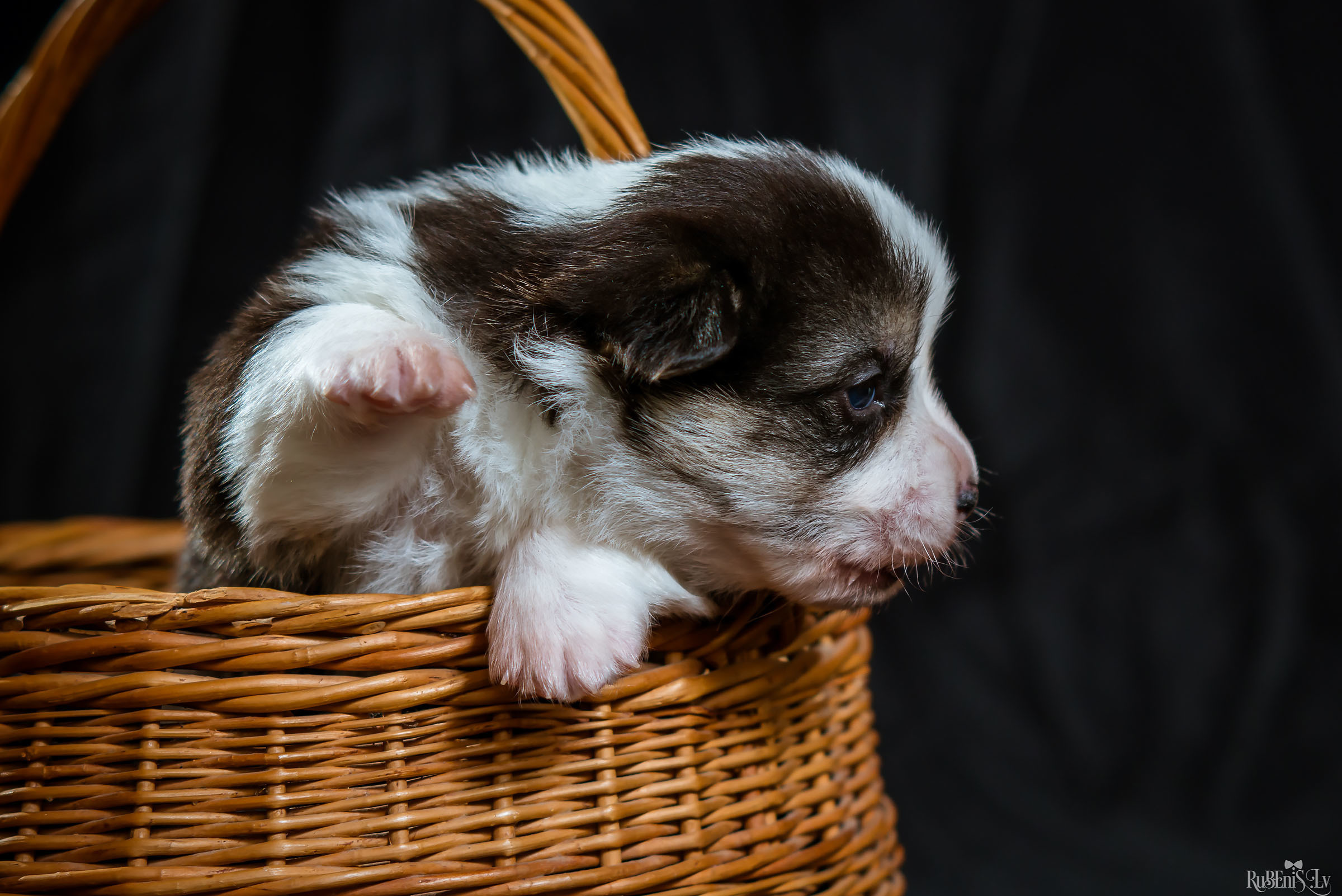 Fotogrāfs Romualds Rubenis un Artemijs Stašāns