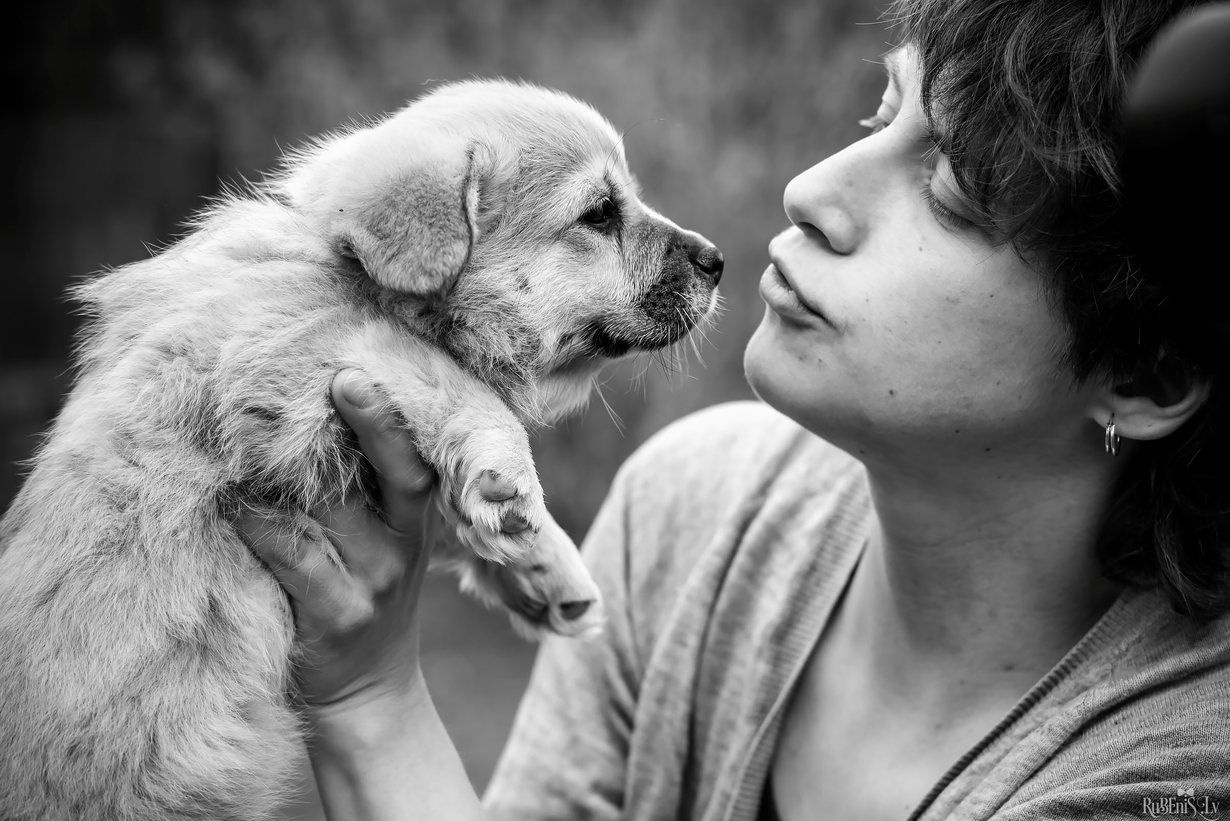 Анна и Марта / Корги и Гриффоны. Фотограф Ромуальд Рубенис и Артемий Сташанс