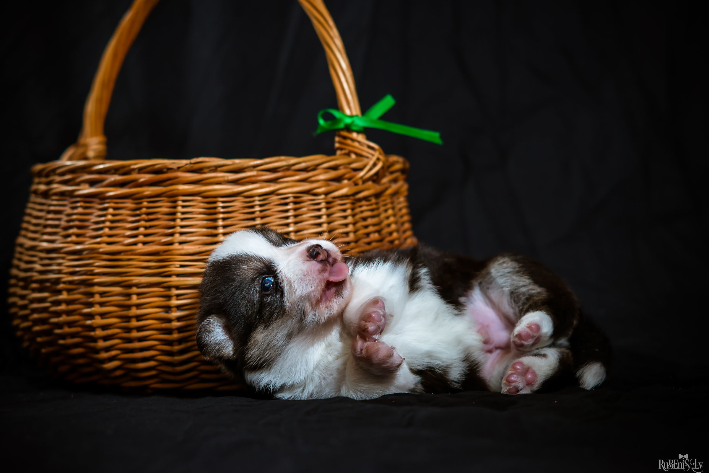 Fotogrāfs Romualds Rubenis un Artemijs Stašāns